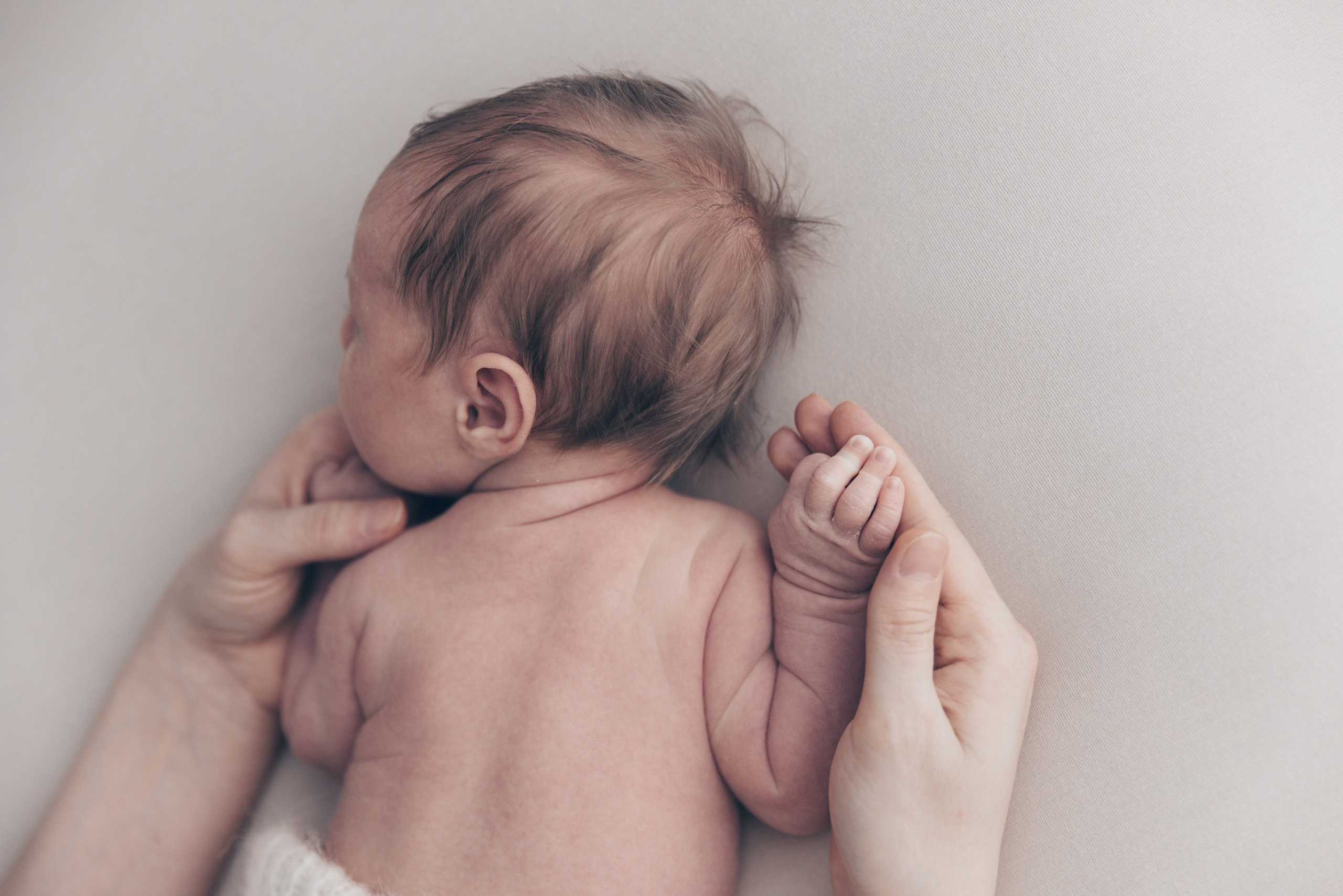 NewBorn. Свадебный и Семейный фотограф в Москве и Сочи Таня Михей