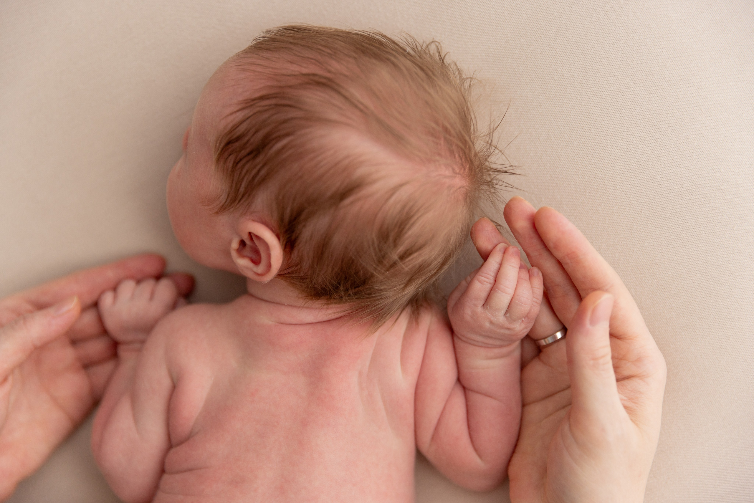 NewBorn. Свадебный и Семейный фотограф в Москве и Сочи Таня Михей