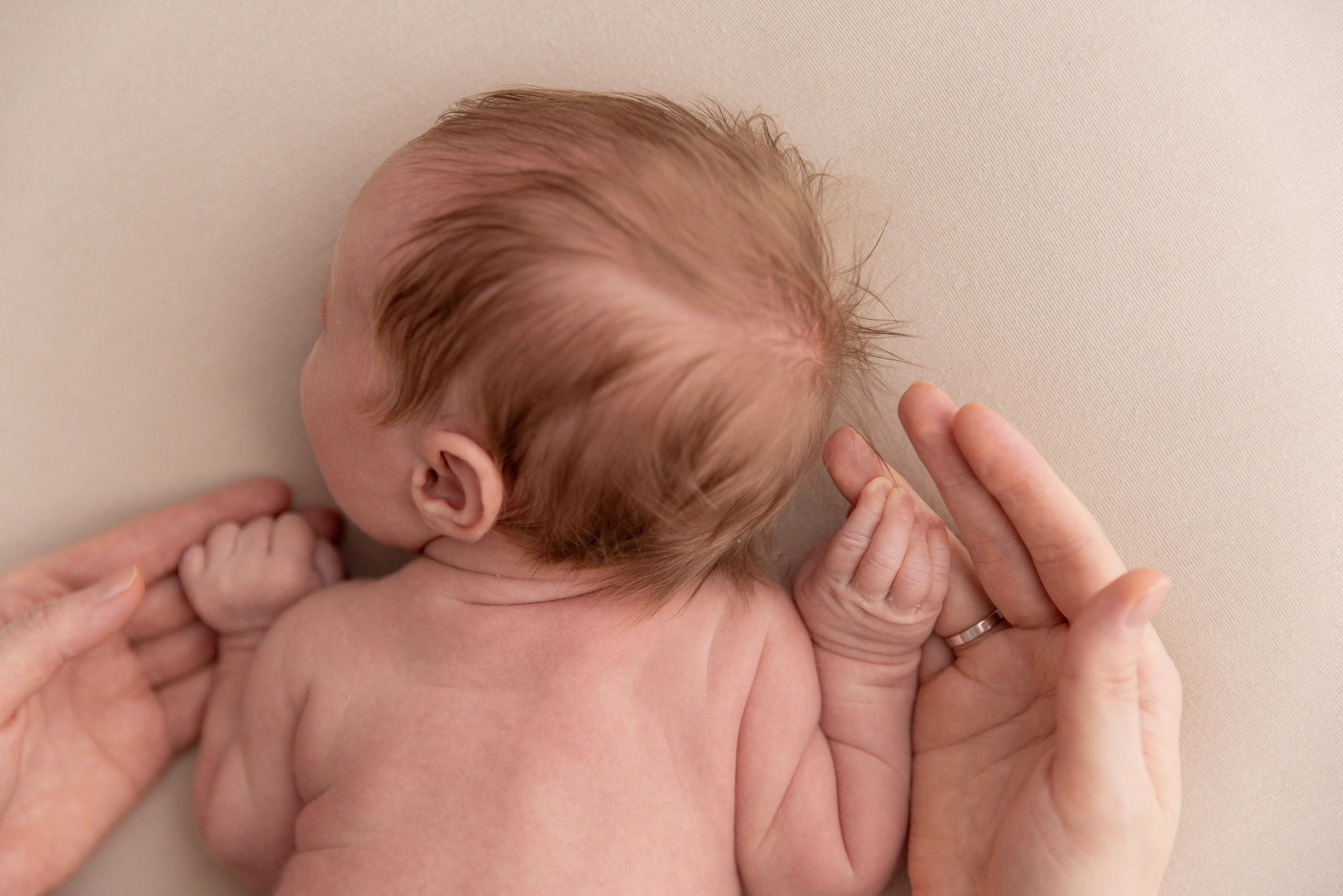 NewBorn. Свадебный и Семейный фотограф в Москве и Сочи Таня Михей