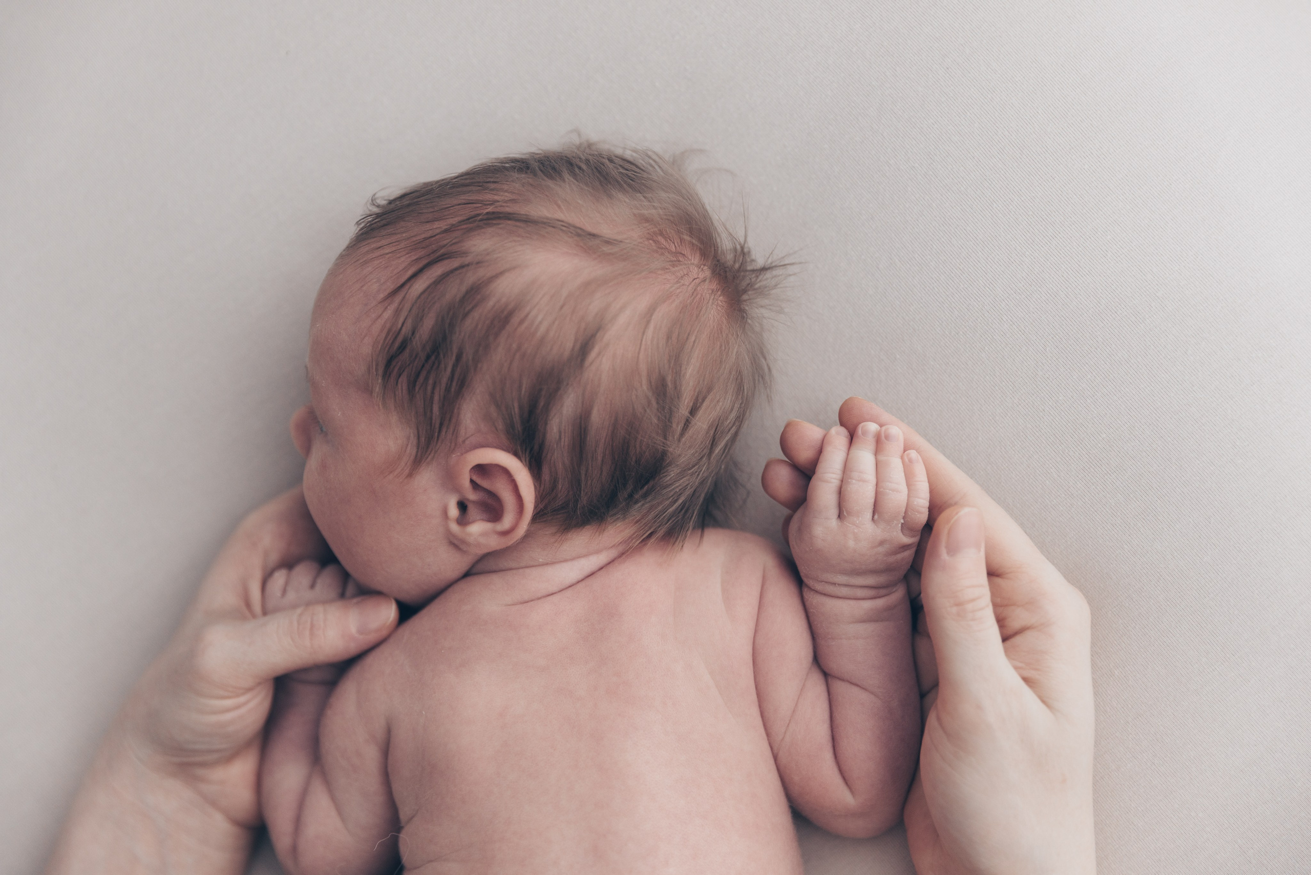 NewBorn. Свадебный и Семейный фотограф в Москве и Сочи Таня Михей