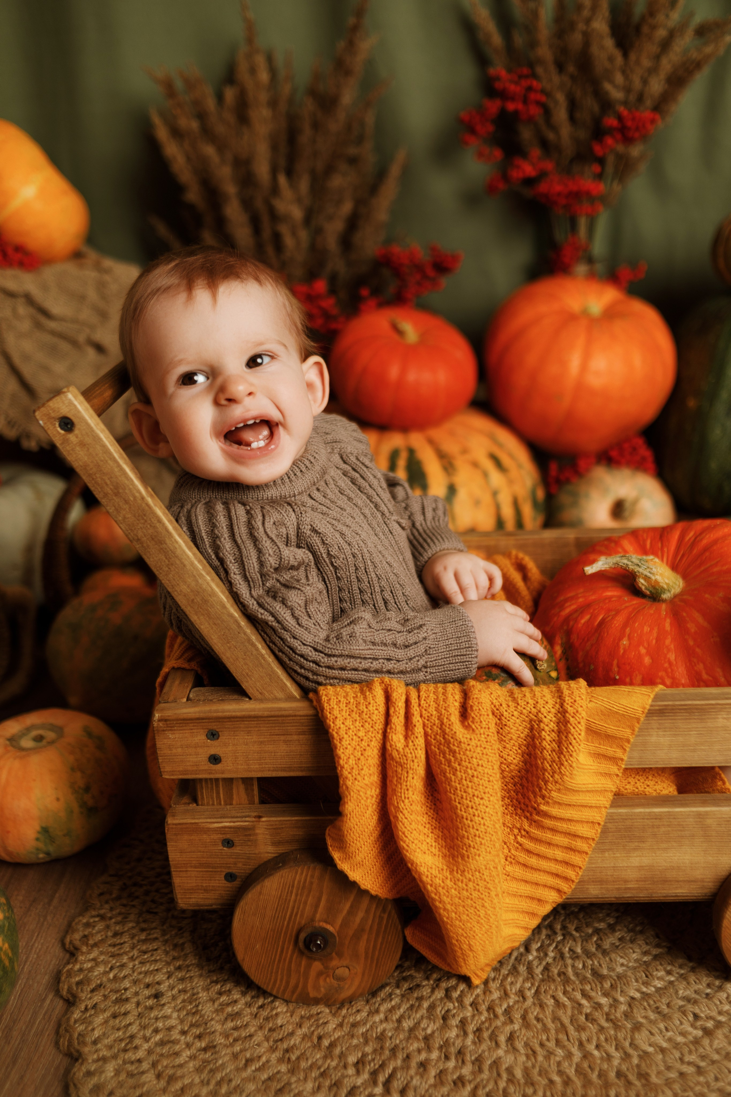 Фотопроекты. Фотограф новорождённых семейный фотограф Томск Елена Каплина