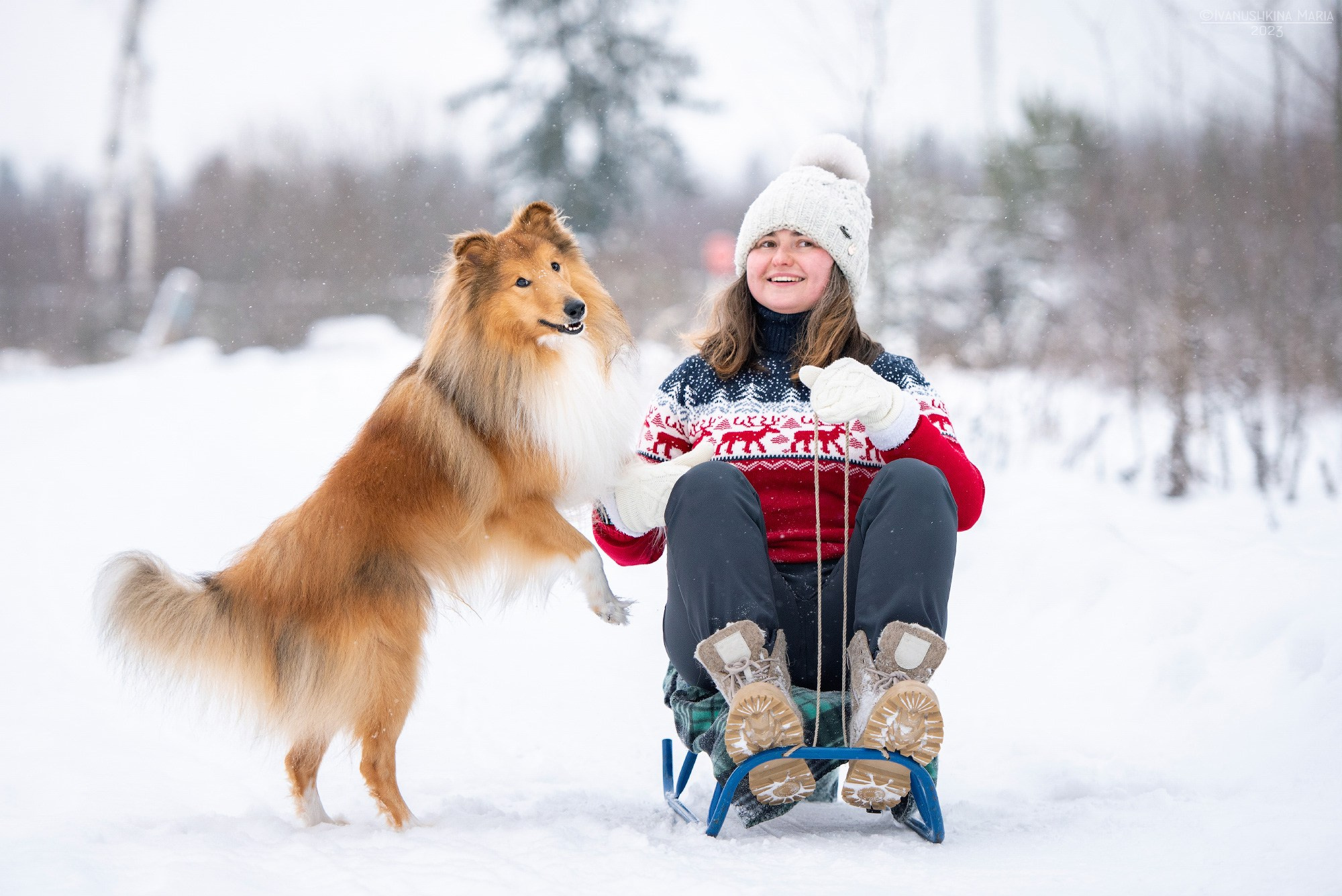 Фотосессия с собакой. Фотограф собак в Москве и Московской области Иванушкина Мария