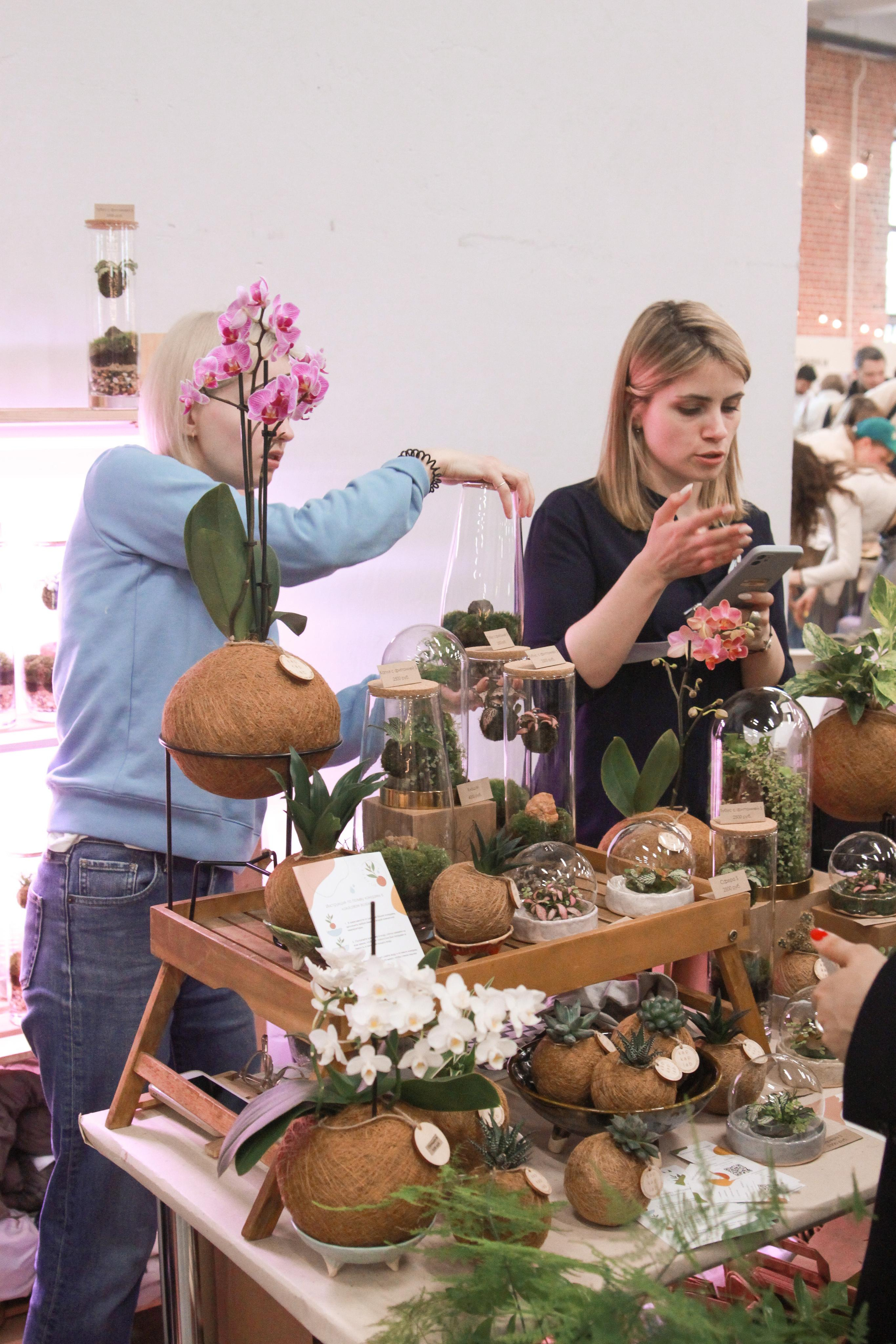 Veter Spring Fest. Фотограф Ирина Воробьева