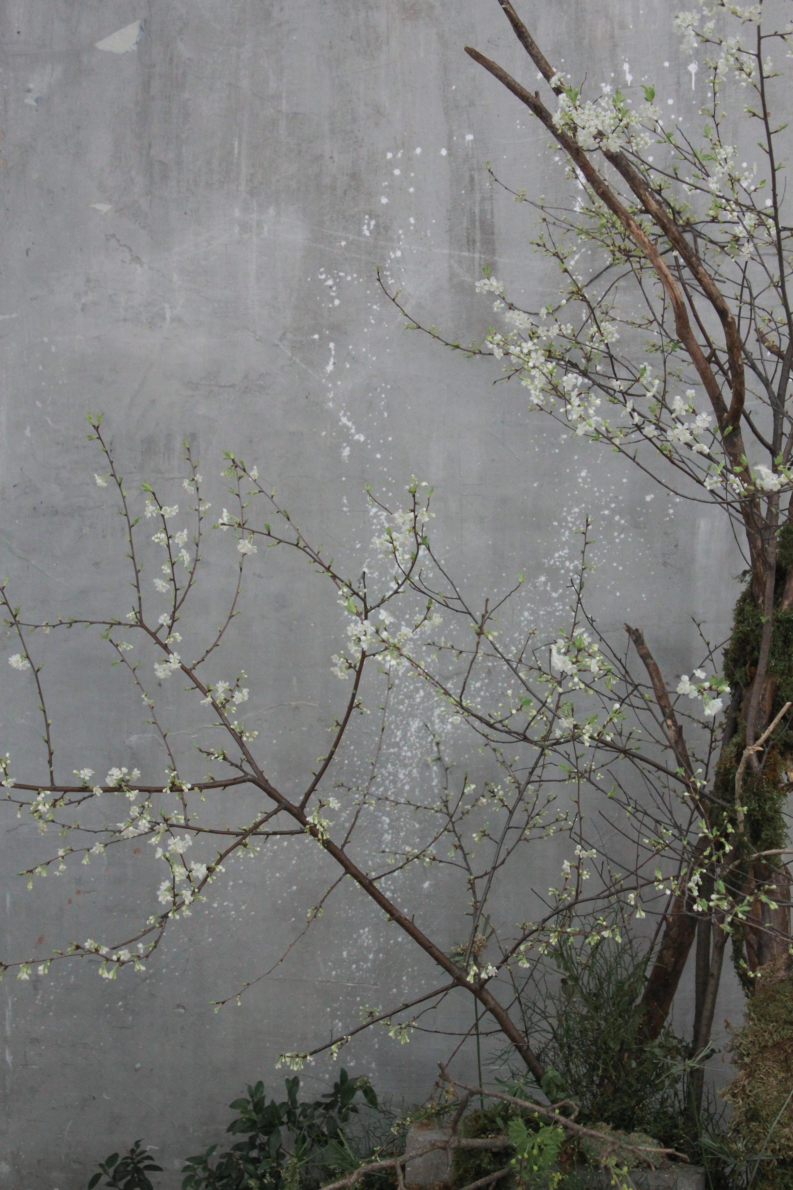 Veter Spring Fest. Фотограф Ирина Воробьева