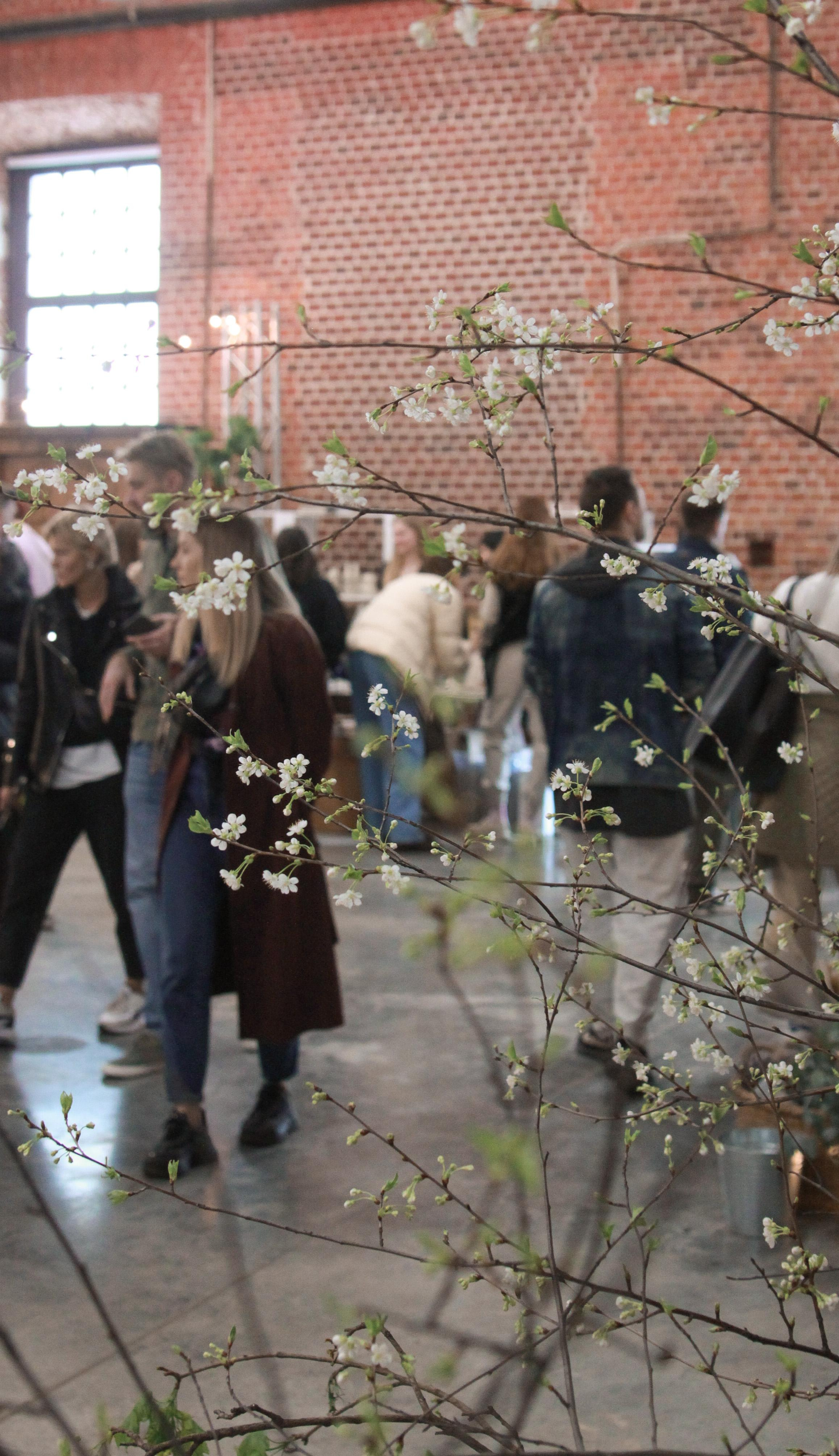 Veter Spring Fest. Фотограф Ирина Воробьева