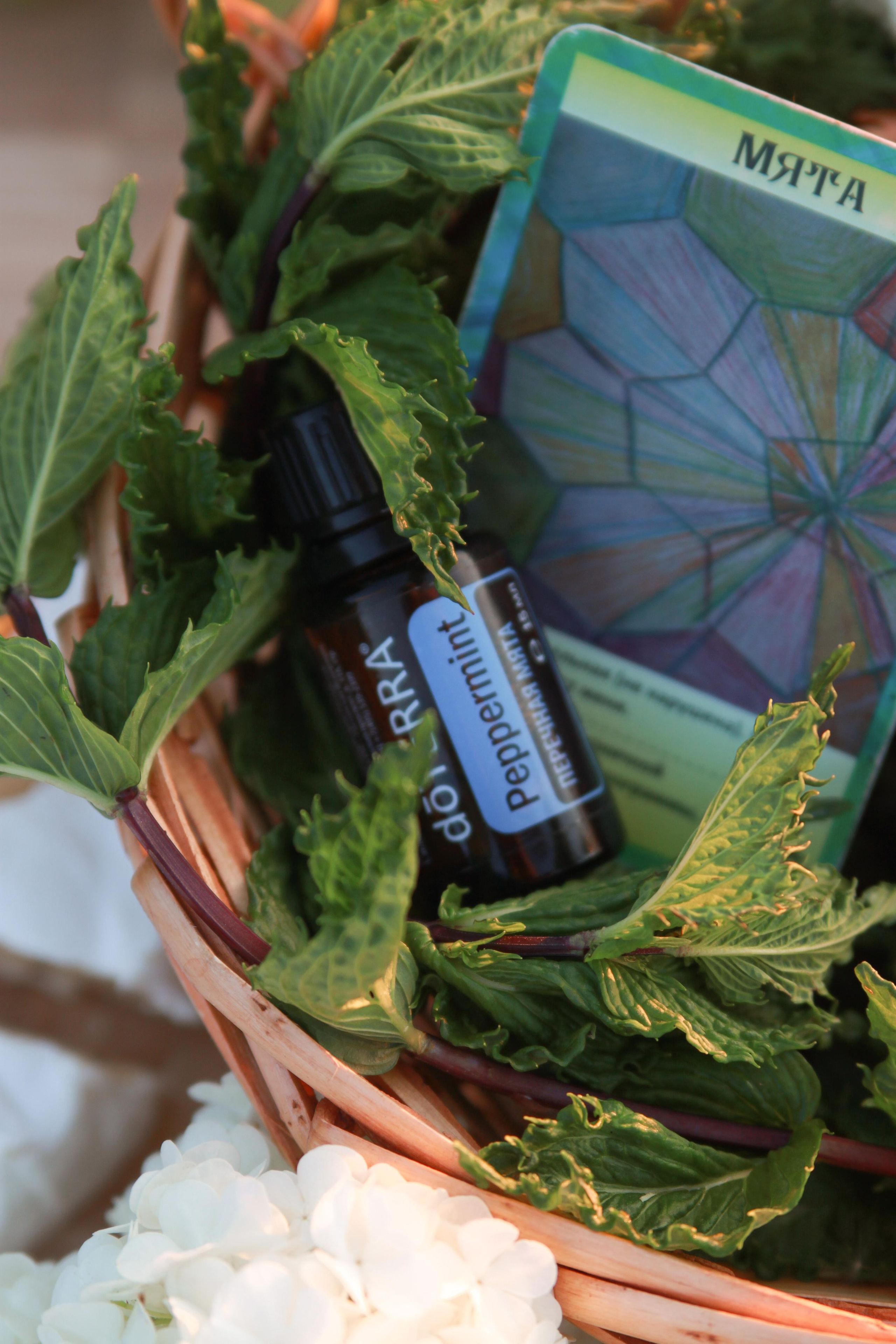 Ольга и мир эфирных масел DoTerra. Фотограф Ирина Воробьева