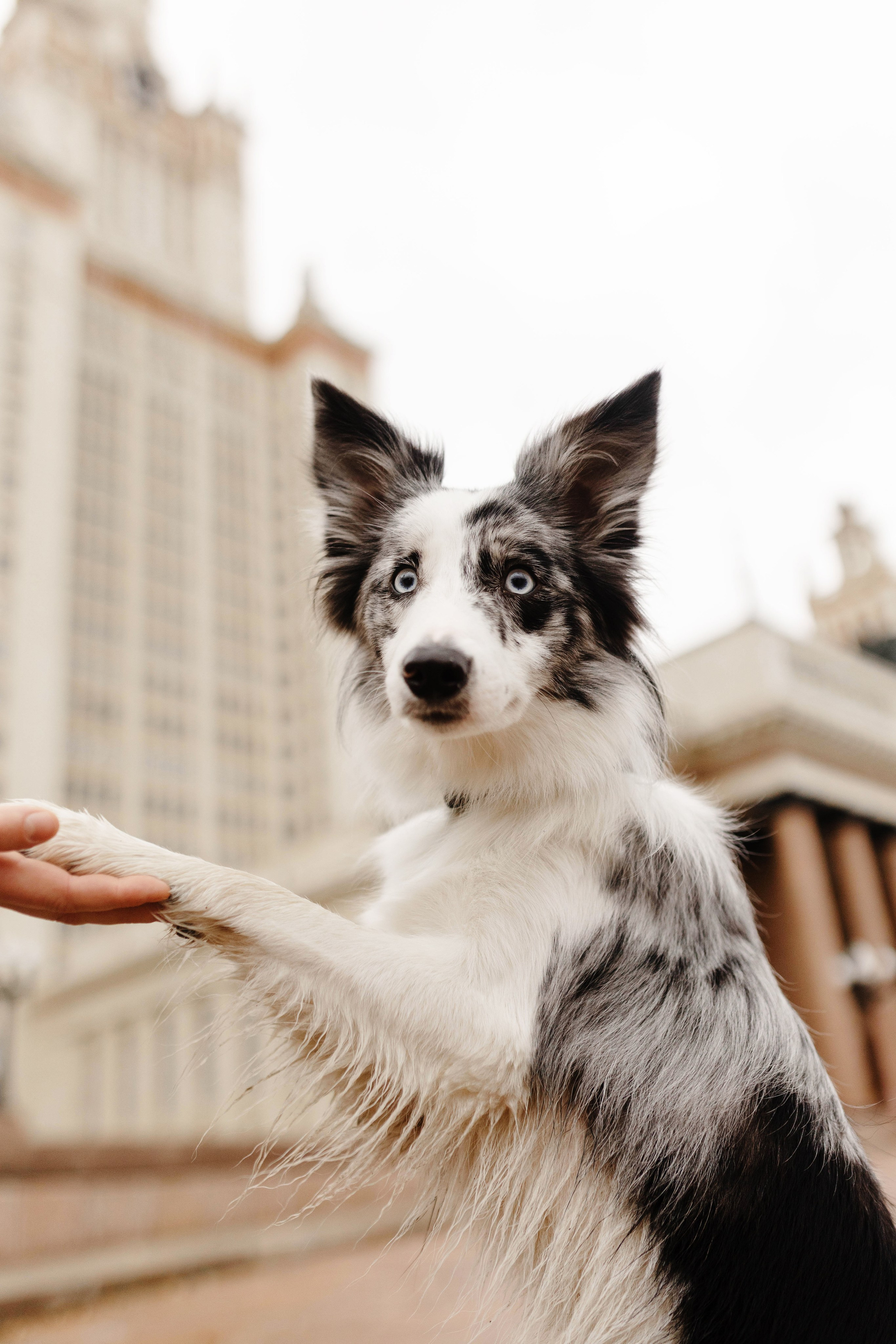 Москва / Настя и Рикотта. Фотограф Кузина Вера