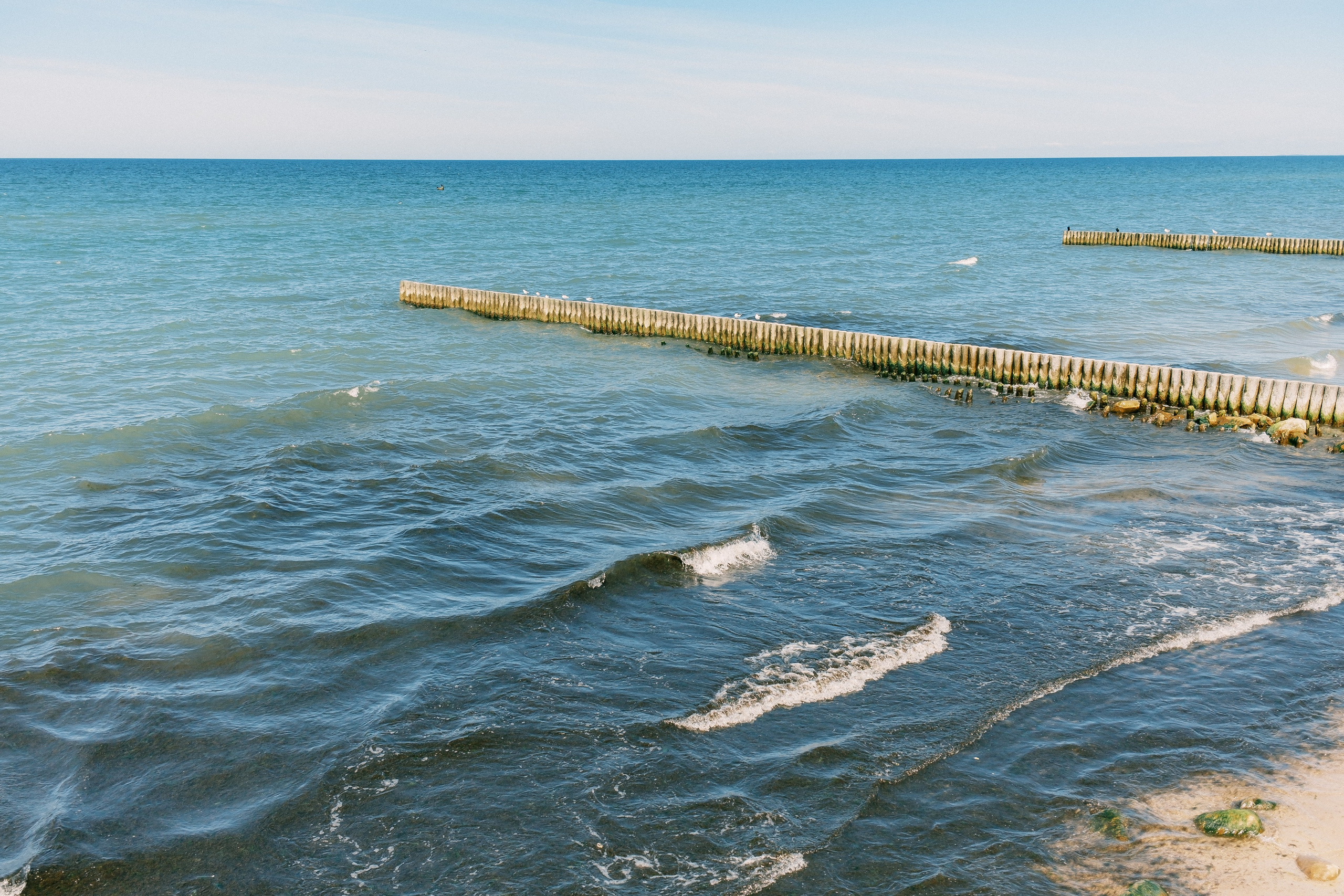 Зеленоградск. Аня Степанова