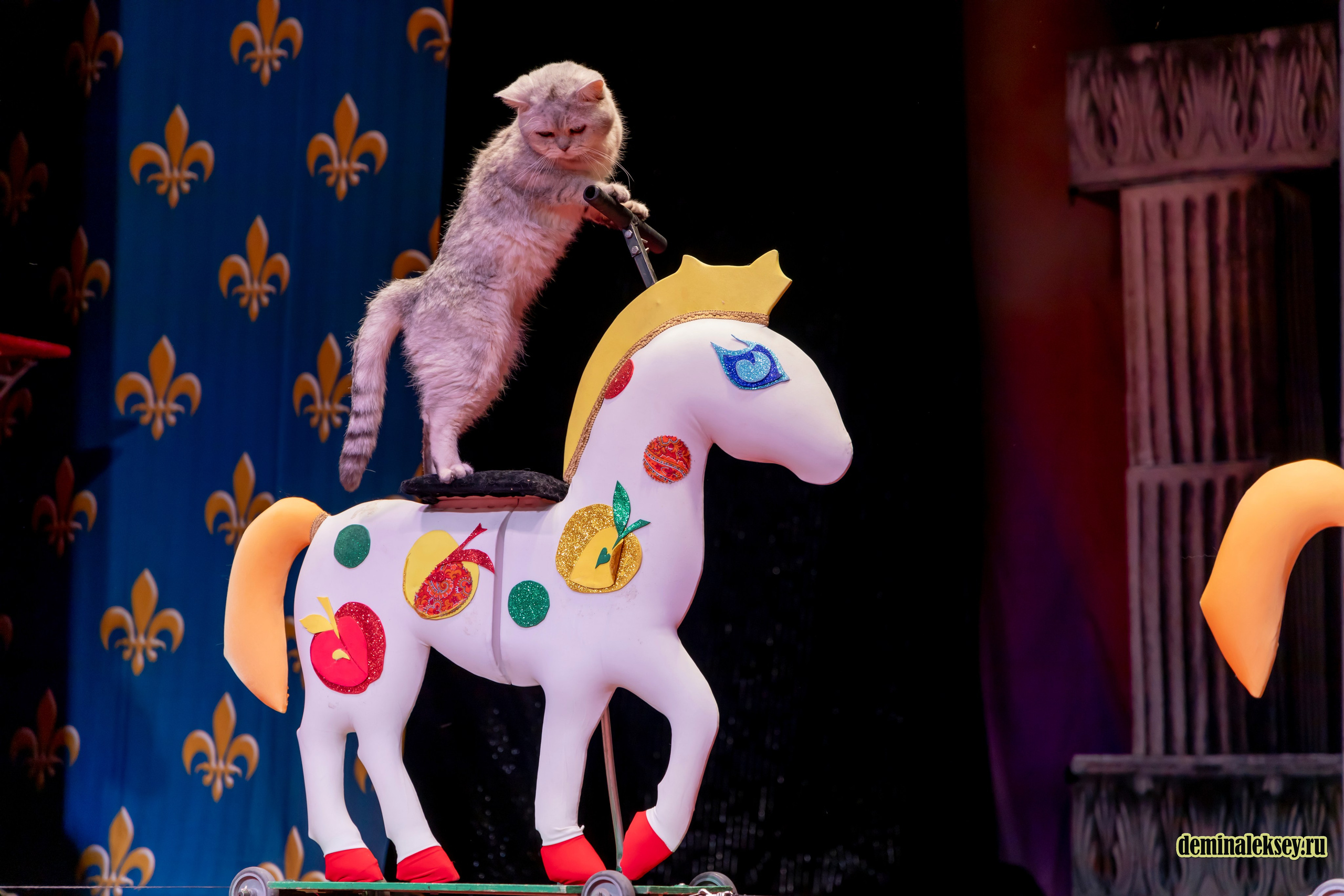Театр кошек Куклачева 26 февраля 2025. Репортажный, семейный и студийный фотограф в Москве Демин Алексей