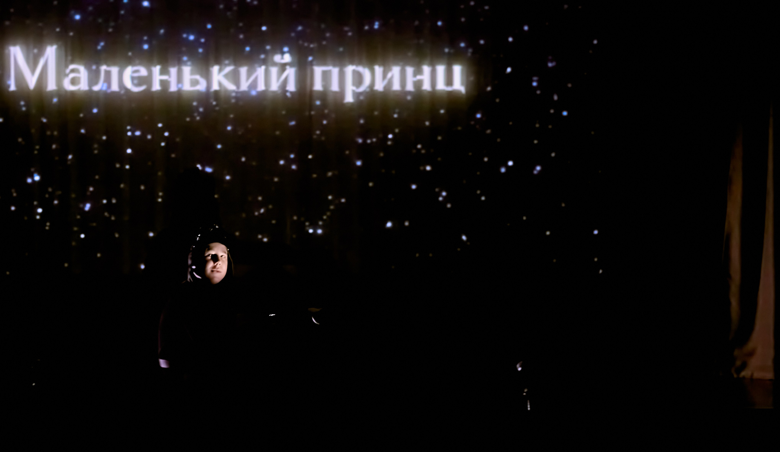 Фотографии с премьеры Маленький принц