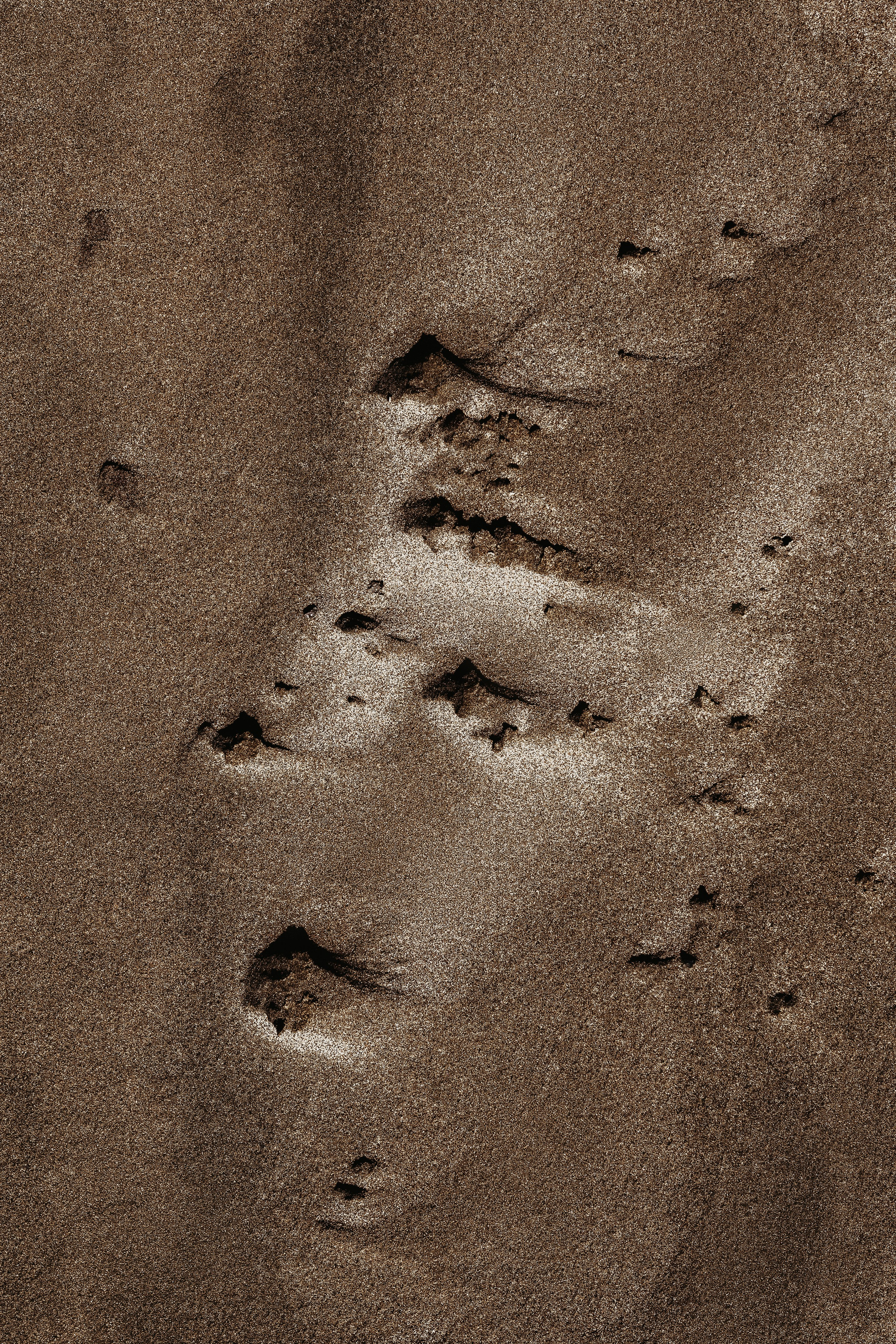 Жизнь. Фотограф Алматы | Весь мир — Никита Колодин