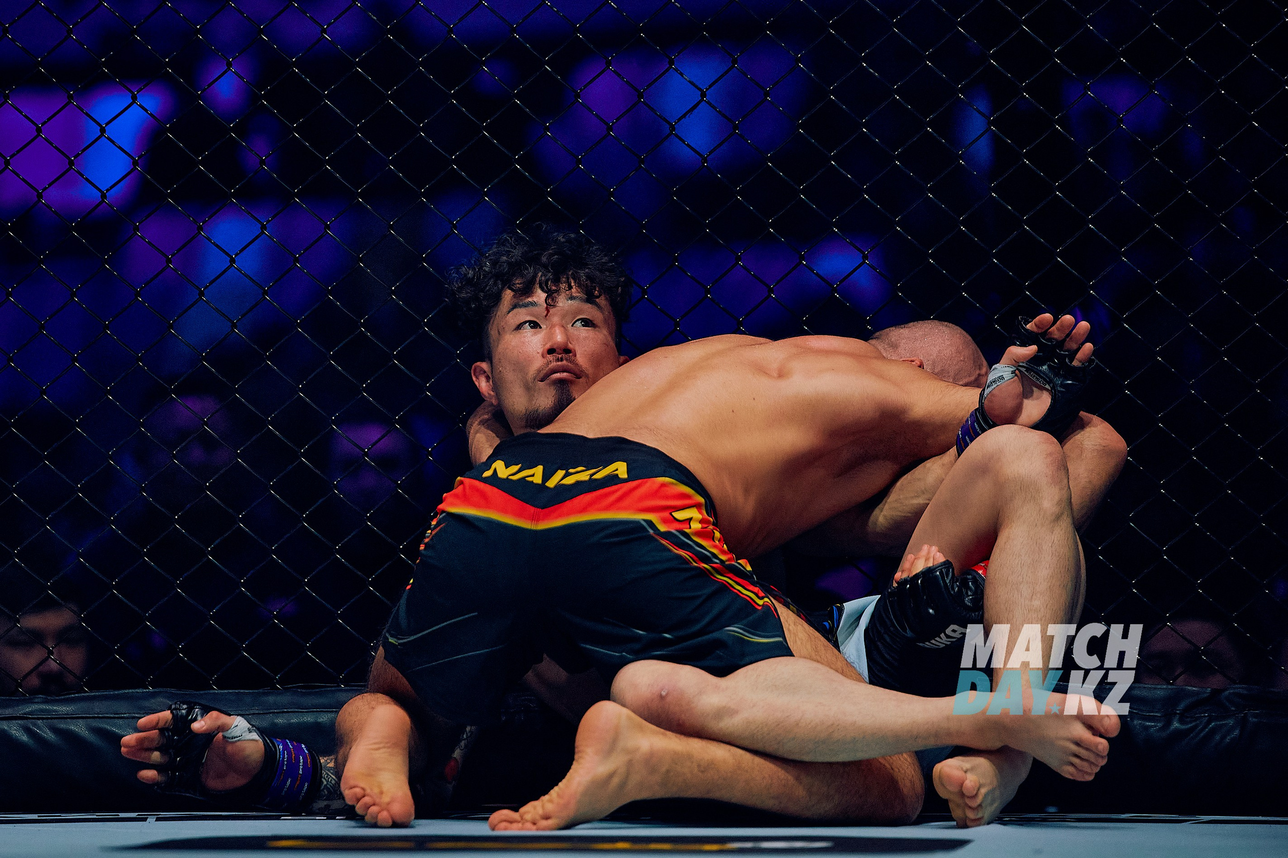 Naiza MMA (Astana) 6 December 2023. Professional photo & Event agency (Kazakhstan, Astana)