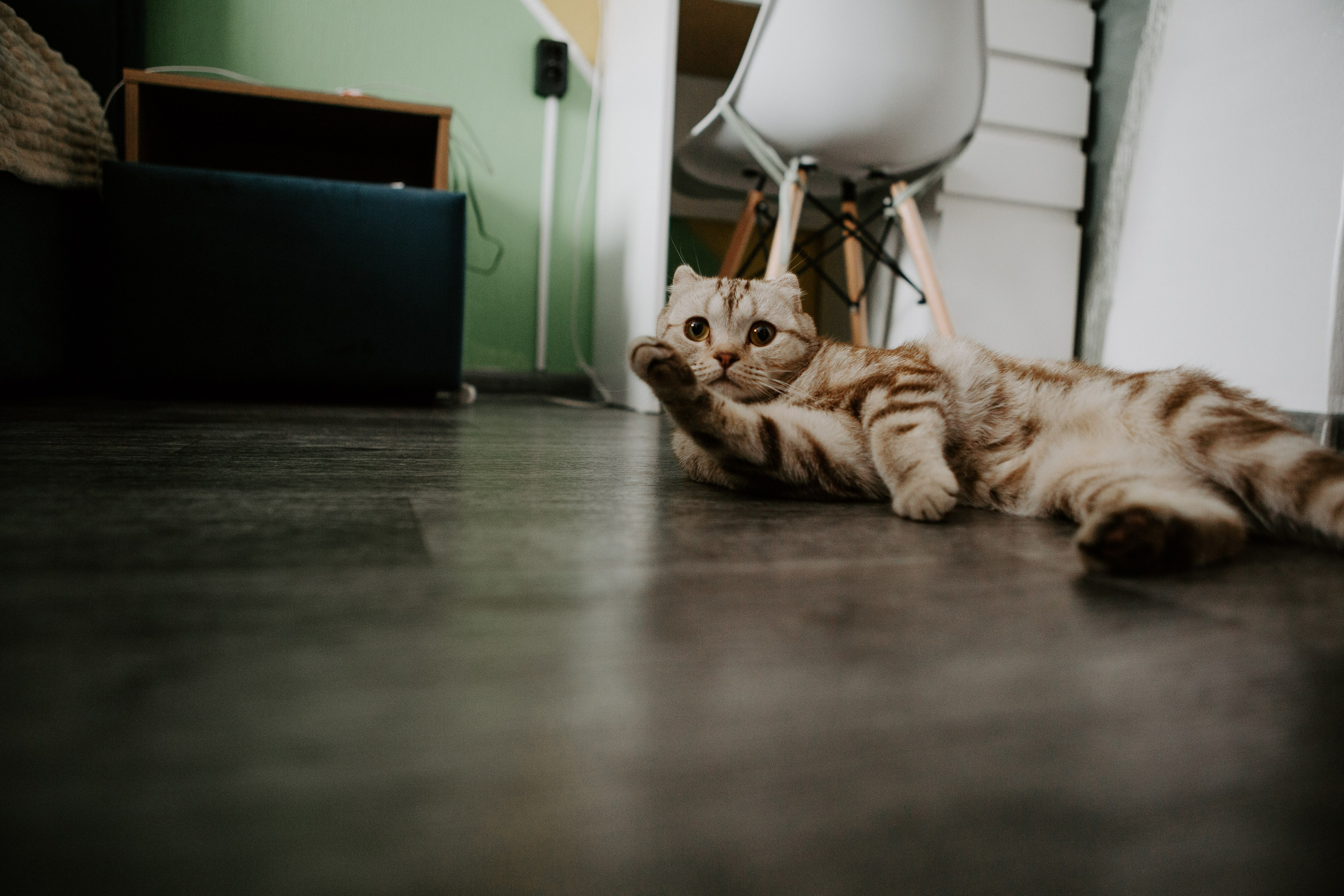 Илья и Алина. Фотограф, видеограф в Челябинске Глеб Хазиев