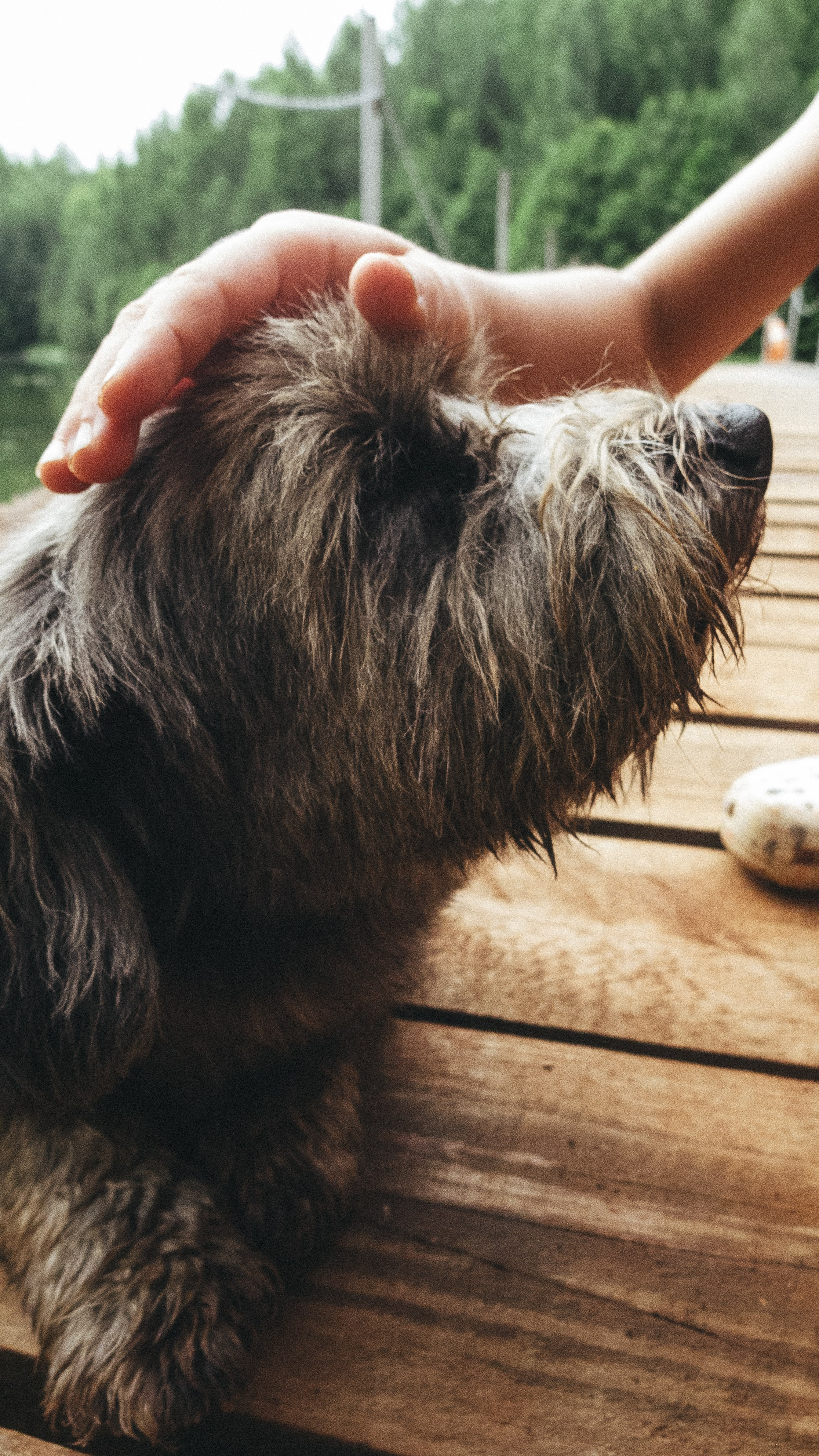 Boksitogorsk, 24 🤎. <3