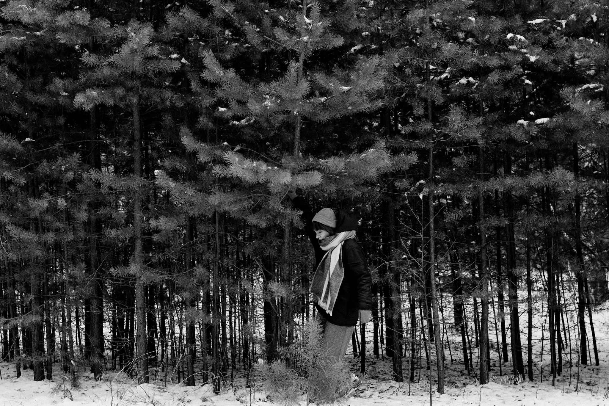 Зимняя фотосессия в лесу в Тюмени — Оля — Фотограф Дарья Мустафина. Фотограф Дарья Мустафина, Тюмень