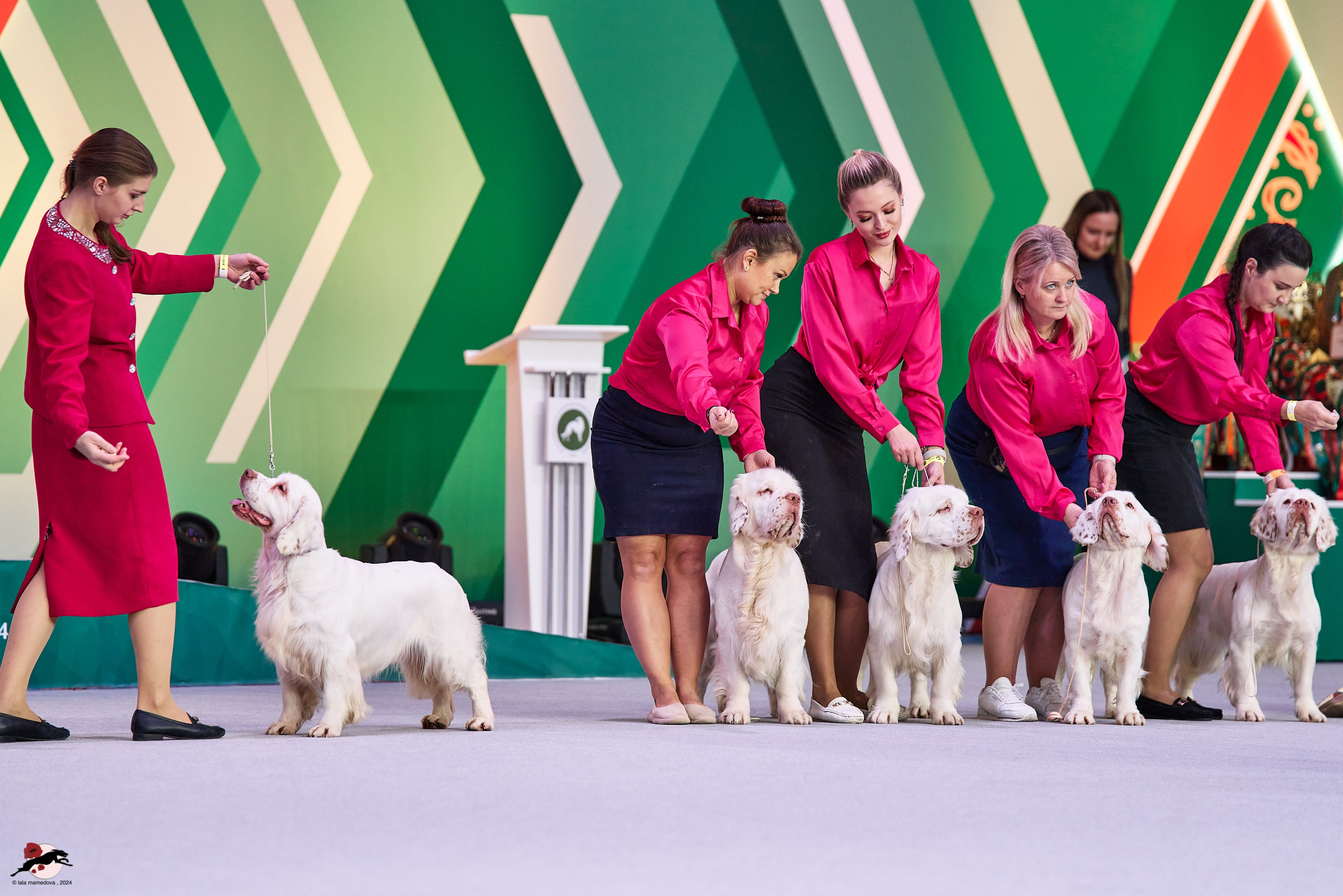 17.11.2024 «ЕВРАЗИЯ. КУБОК СНГ 2024»