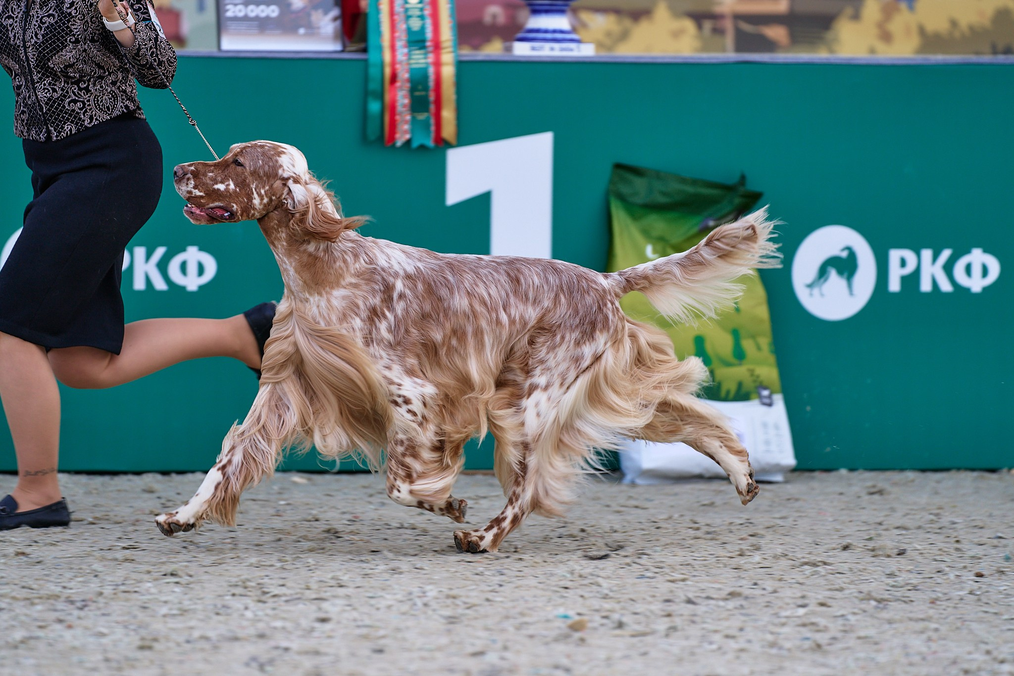 09.06.2024, «РОССИЯ. КУБОК МОСКВЫ 2024 & КУБОК ГОРОДОВ-ГЕРОЕВ»