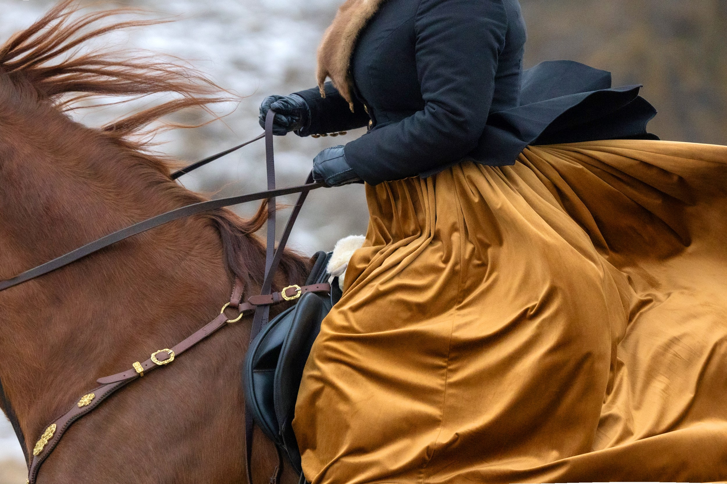 Охоты КТБ «Аванпост». Фотограф-анималист Юлия Удовенко