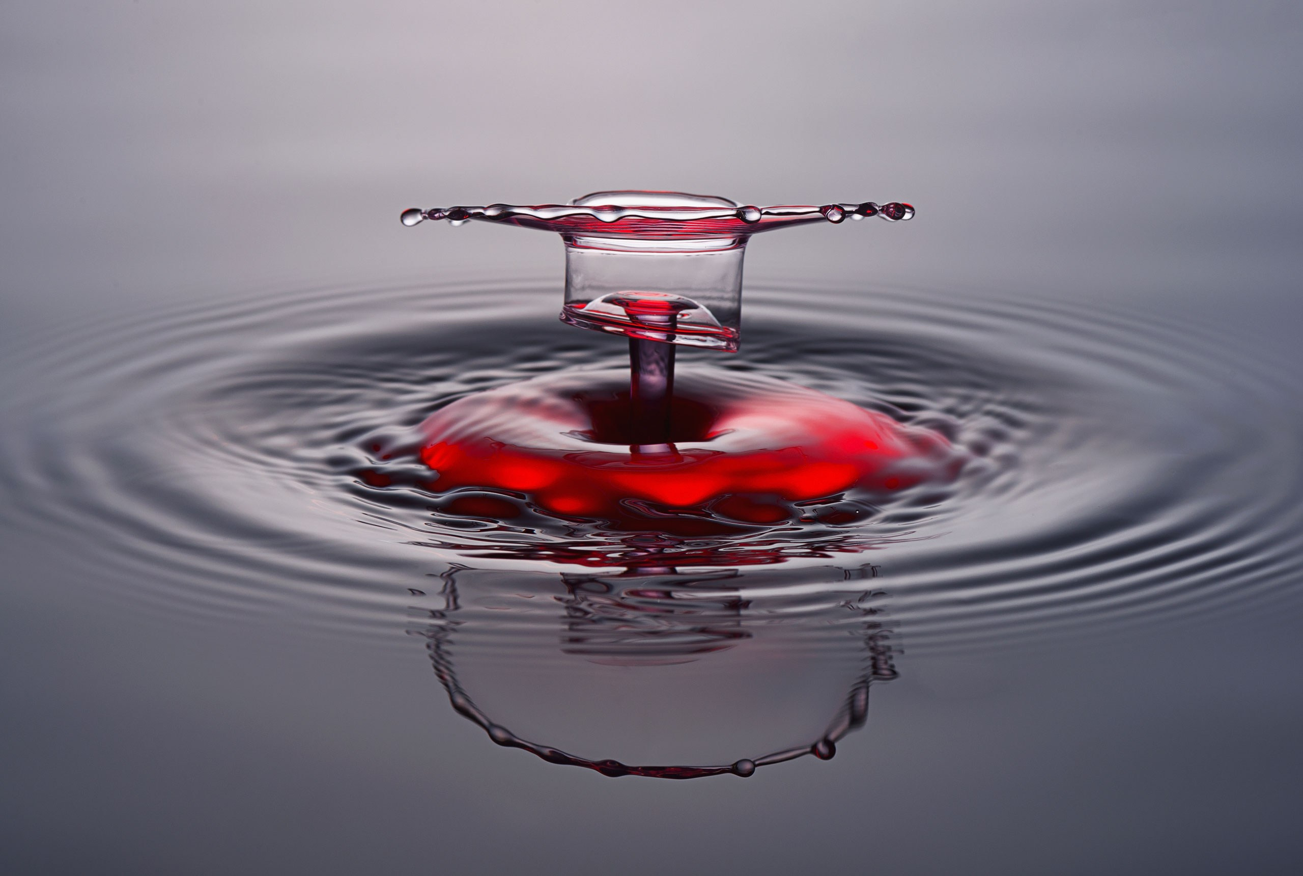 Классические формы. Скульптуры из воды Сергея Толмачева