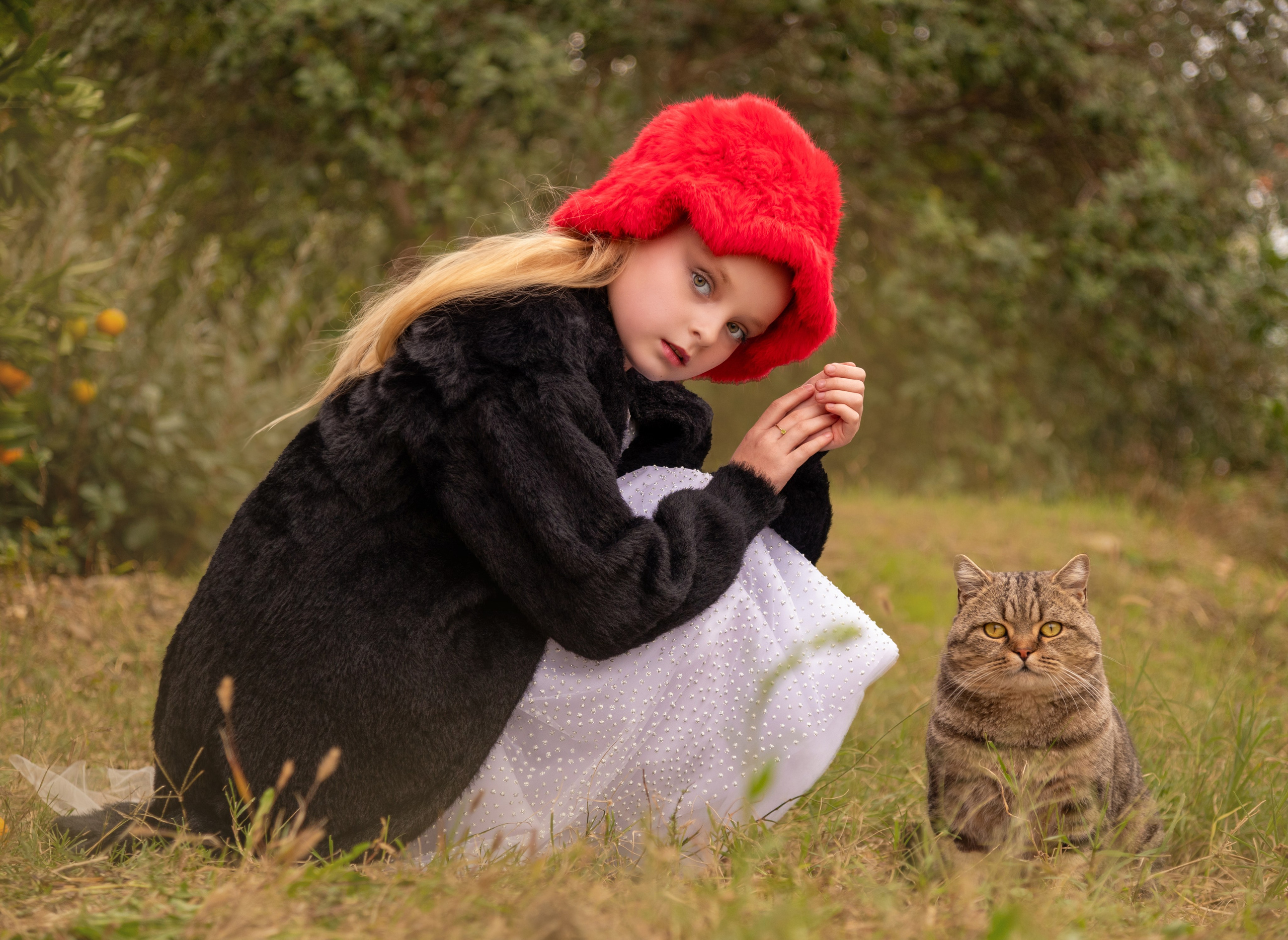 Чистова Катерина. Model base