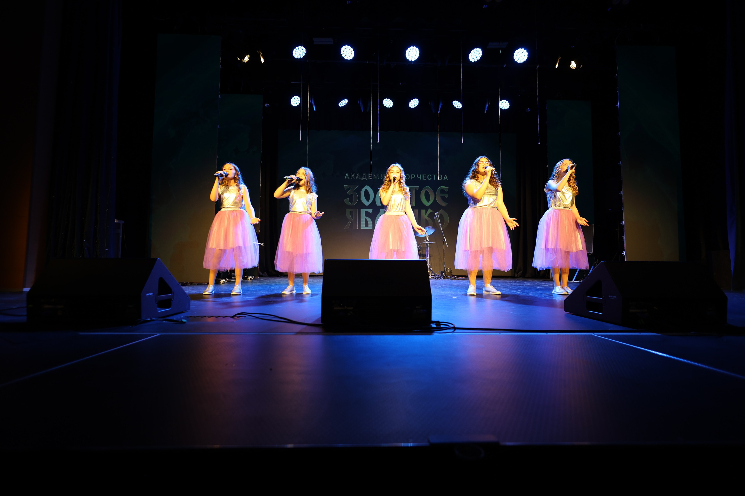 25 января, г. Челябинск. Золотое яблочко