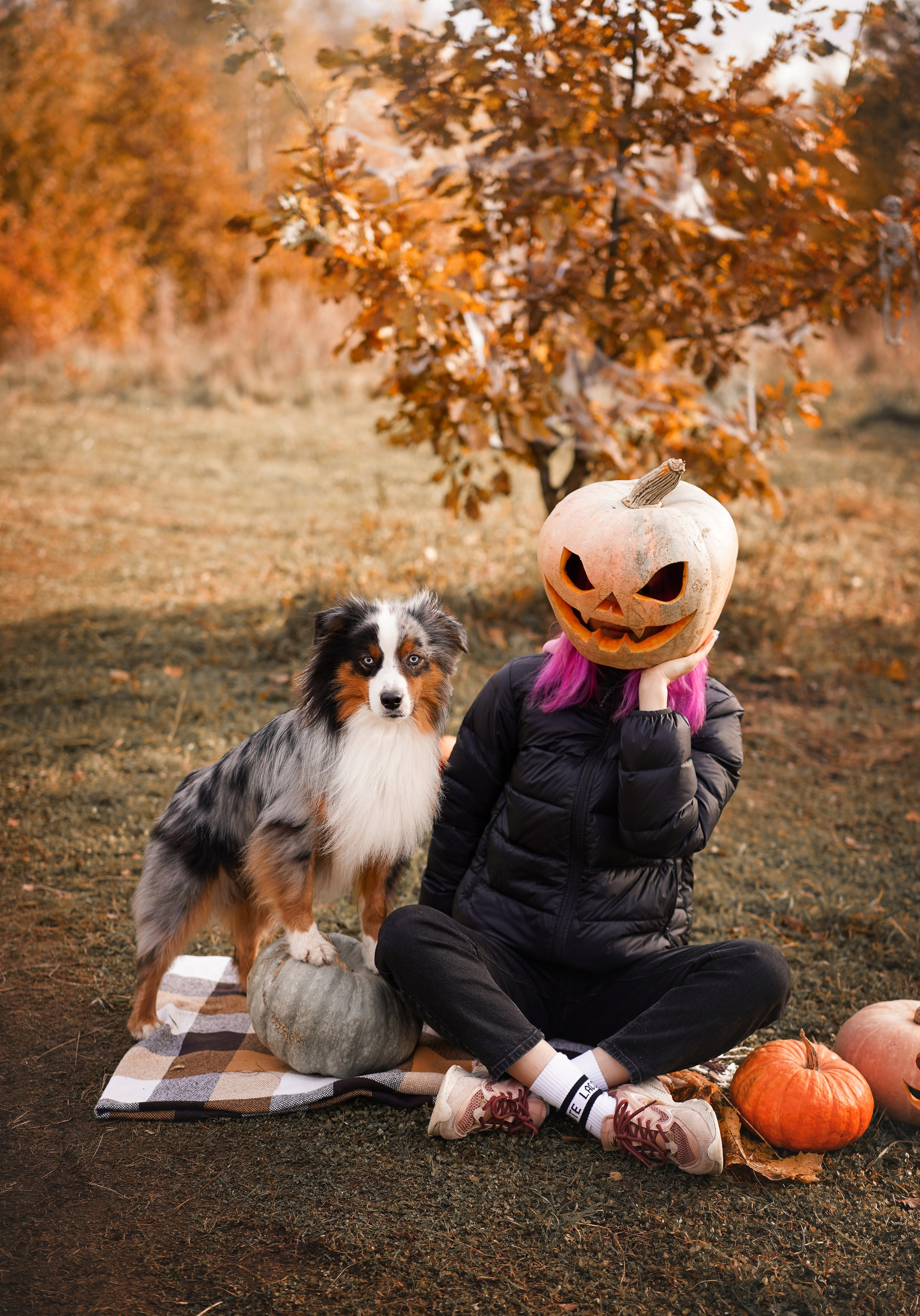 Фотодень Хэллоуин 2025. Фотограф-анималист в Санкт-Петербурге Яна Мартынова