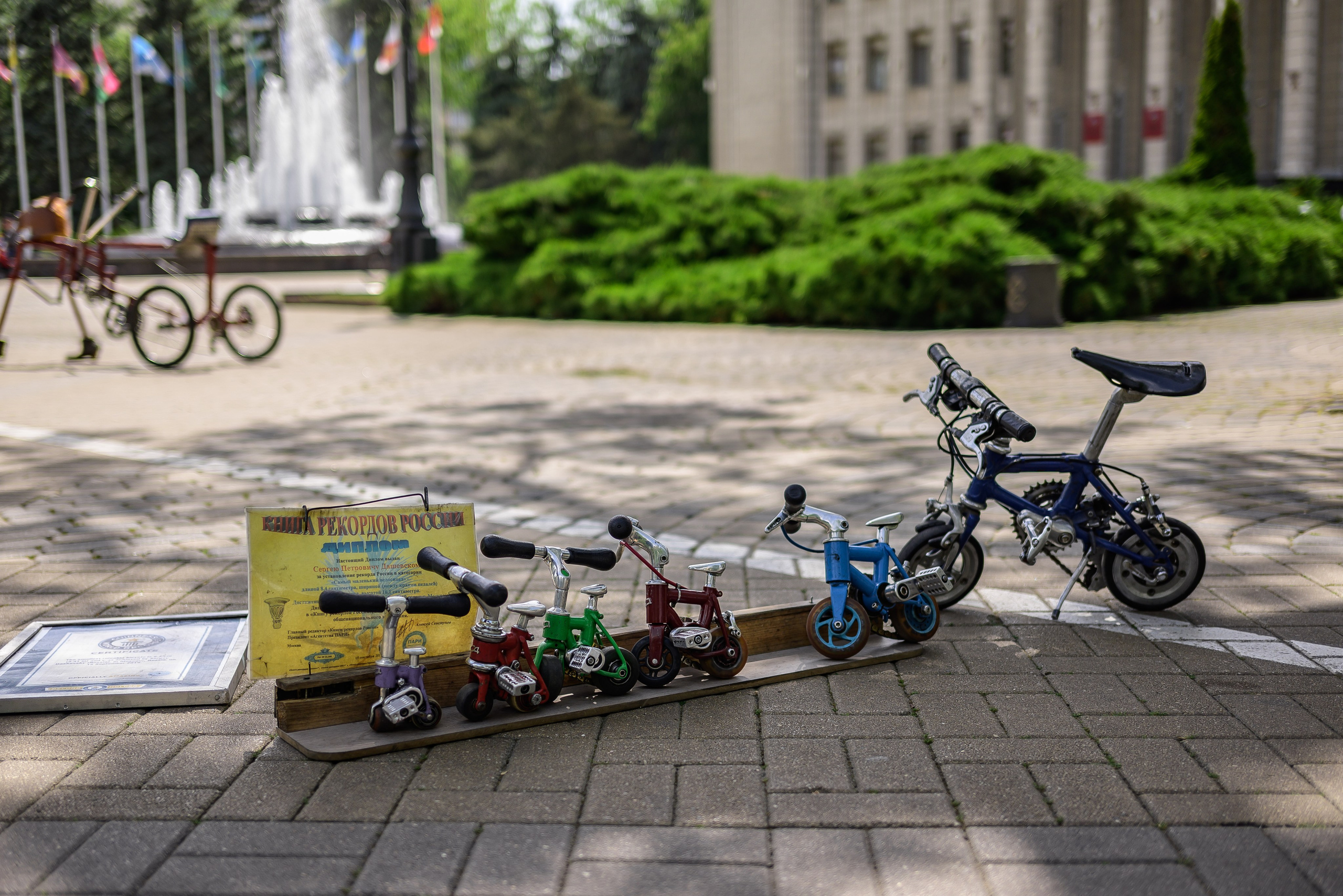 Репортаж для первого канала. Фотограф Краснодар Наталья Сувит