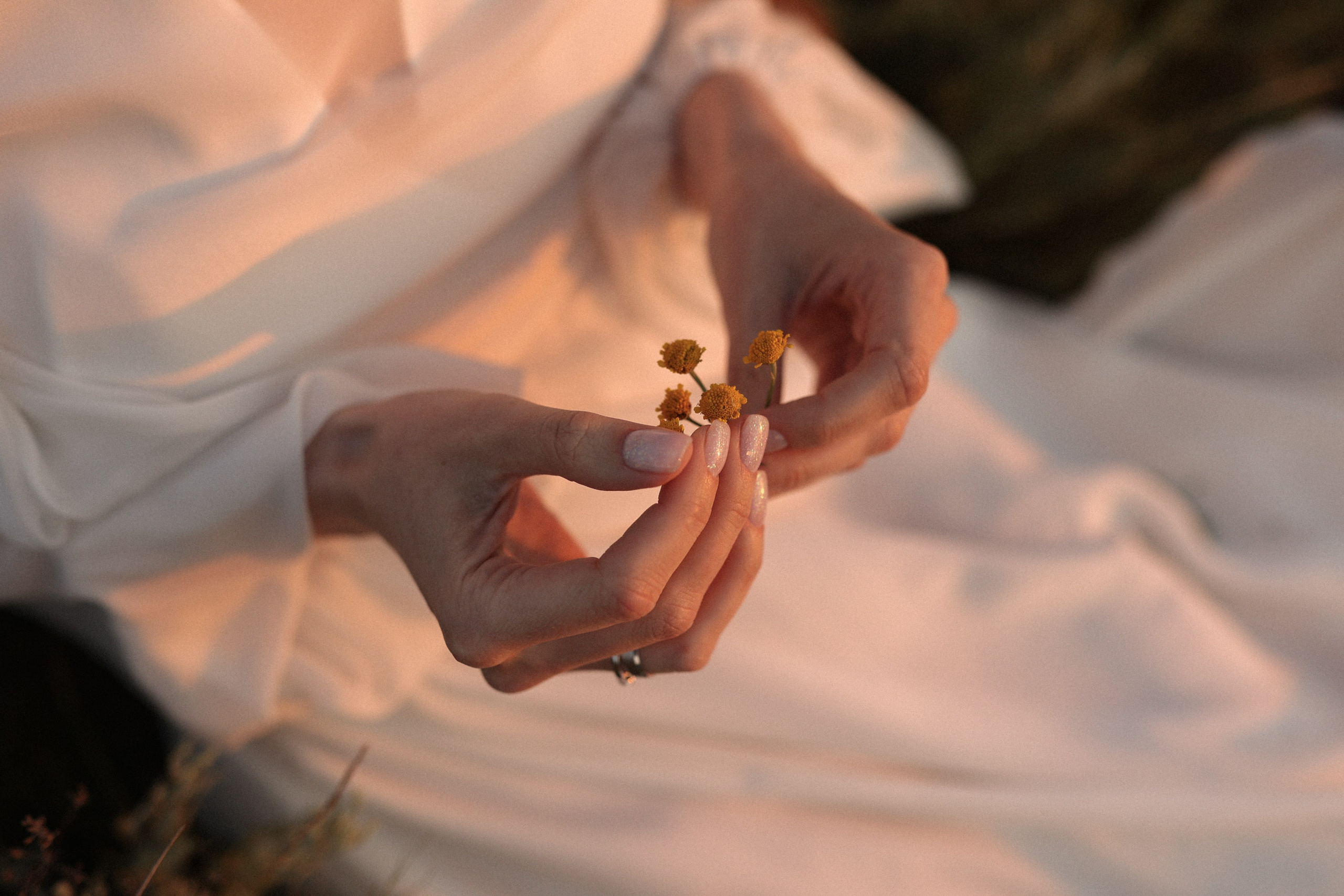 Хамелеон. Фотограф в Севастополе и Крыму Артем Волобуев