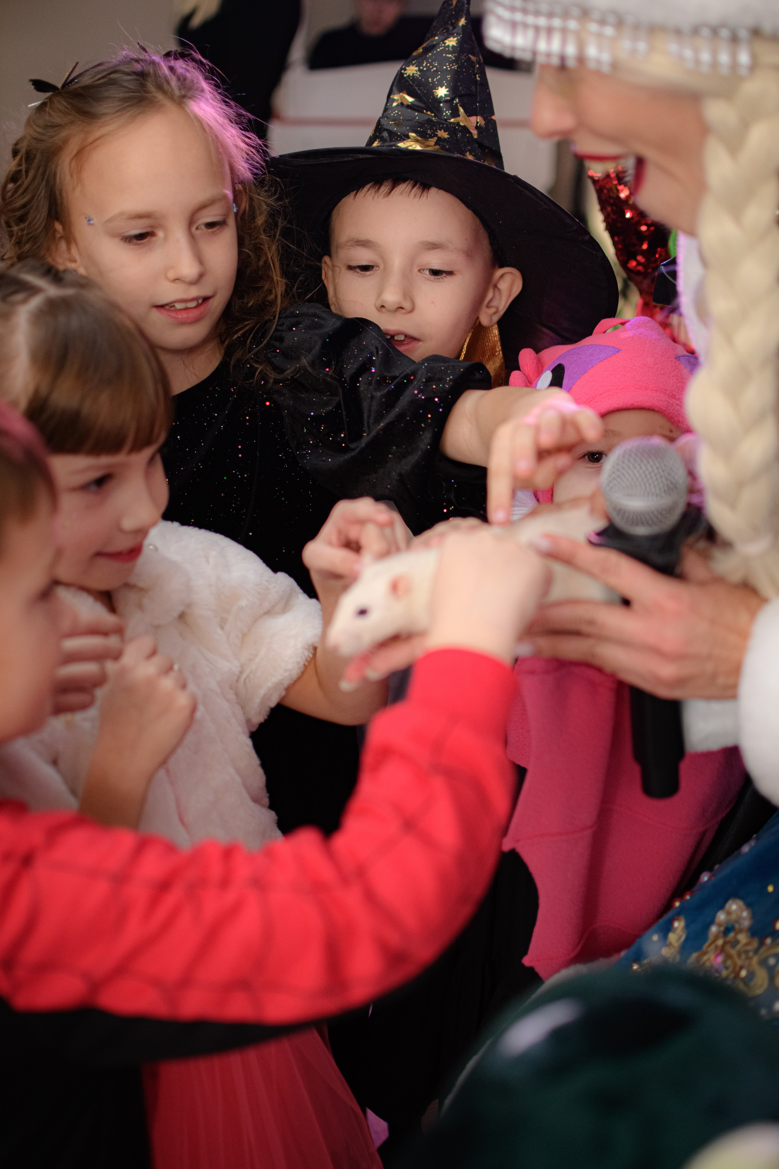 HAPPY NEW YEAR. Photokarish