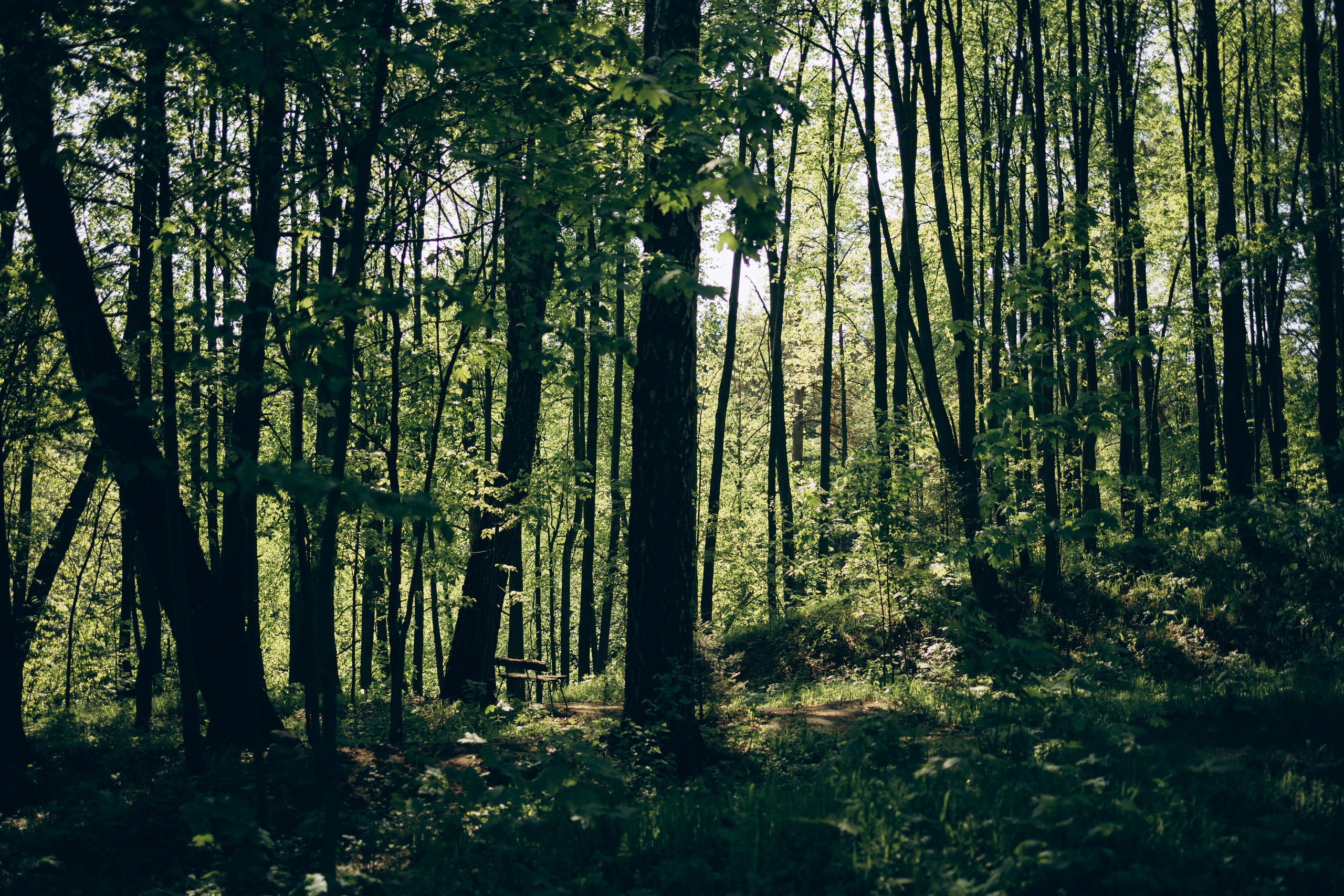 Istra. Женский фотограф Истра