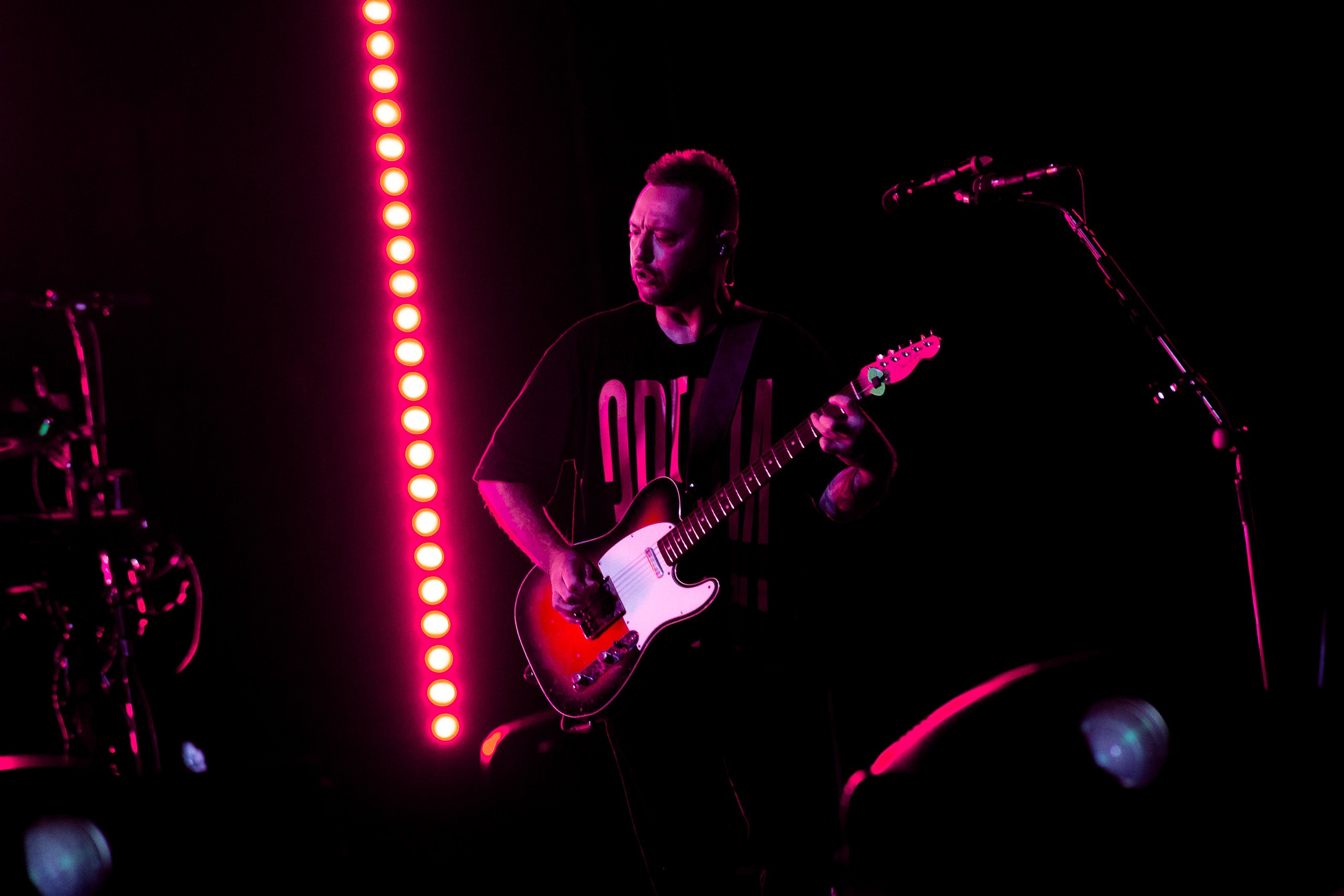 Звери 2025. Репортажный фотограф в Кемерово