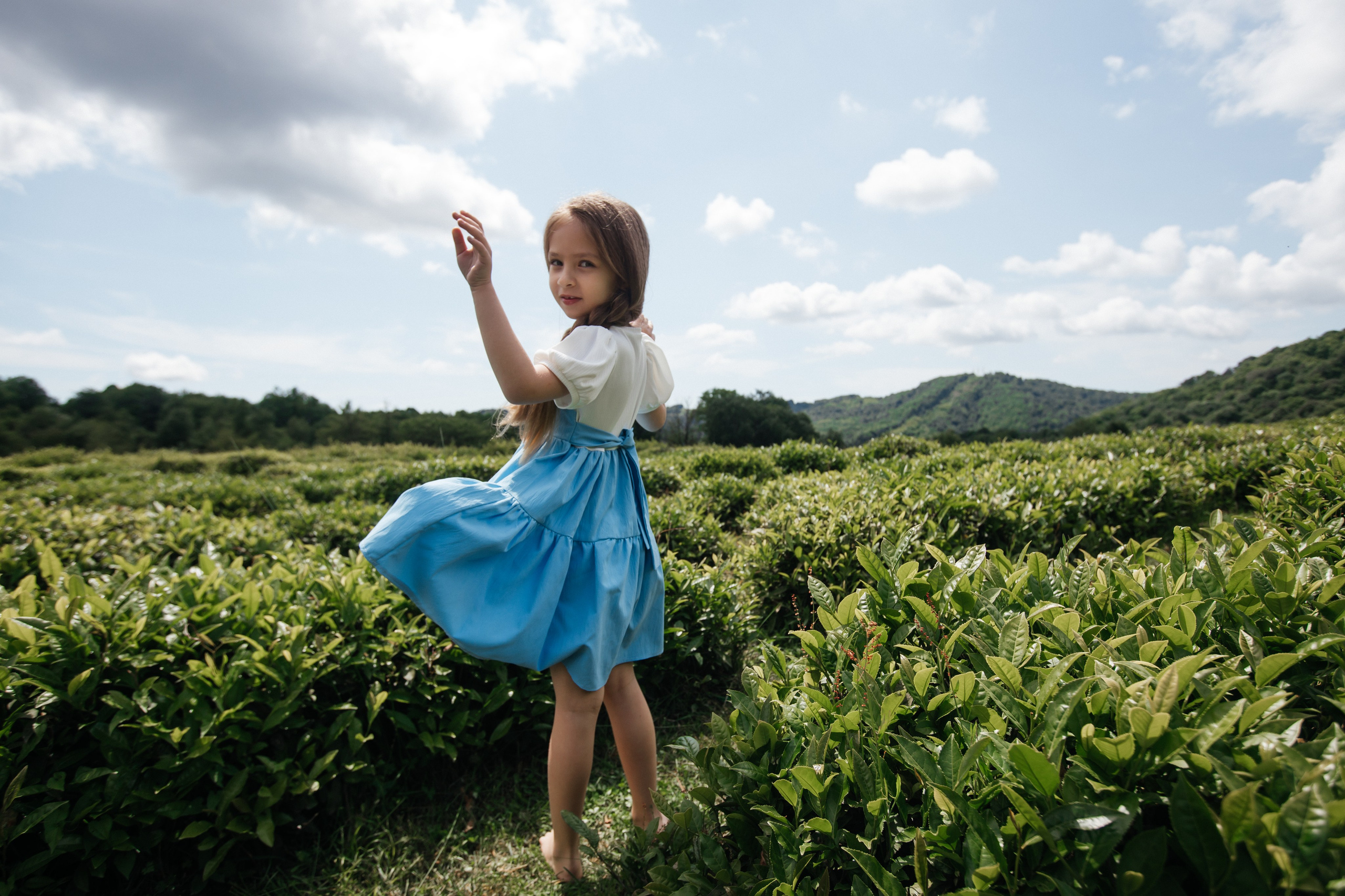 Tea plantation. Efimova Model Agency