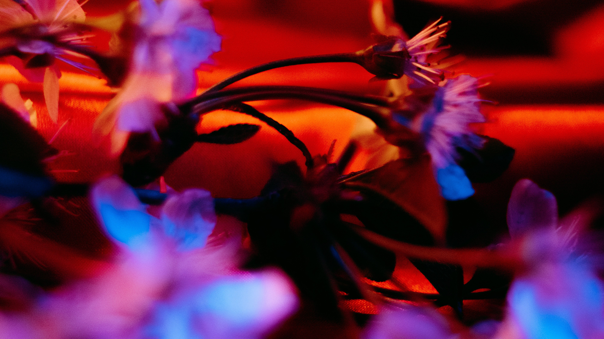 ОБО МНЕ. Photographer Zoya Smirnova