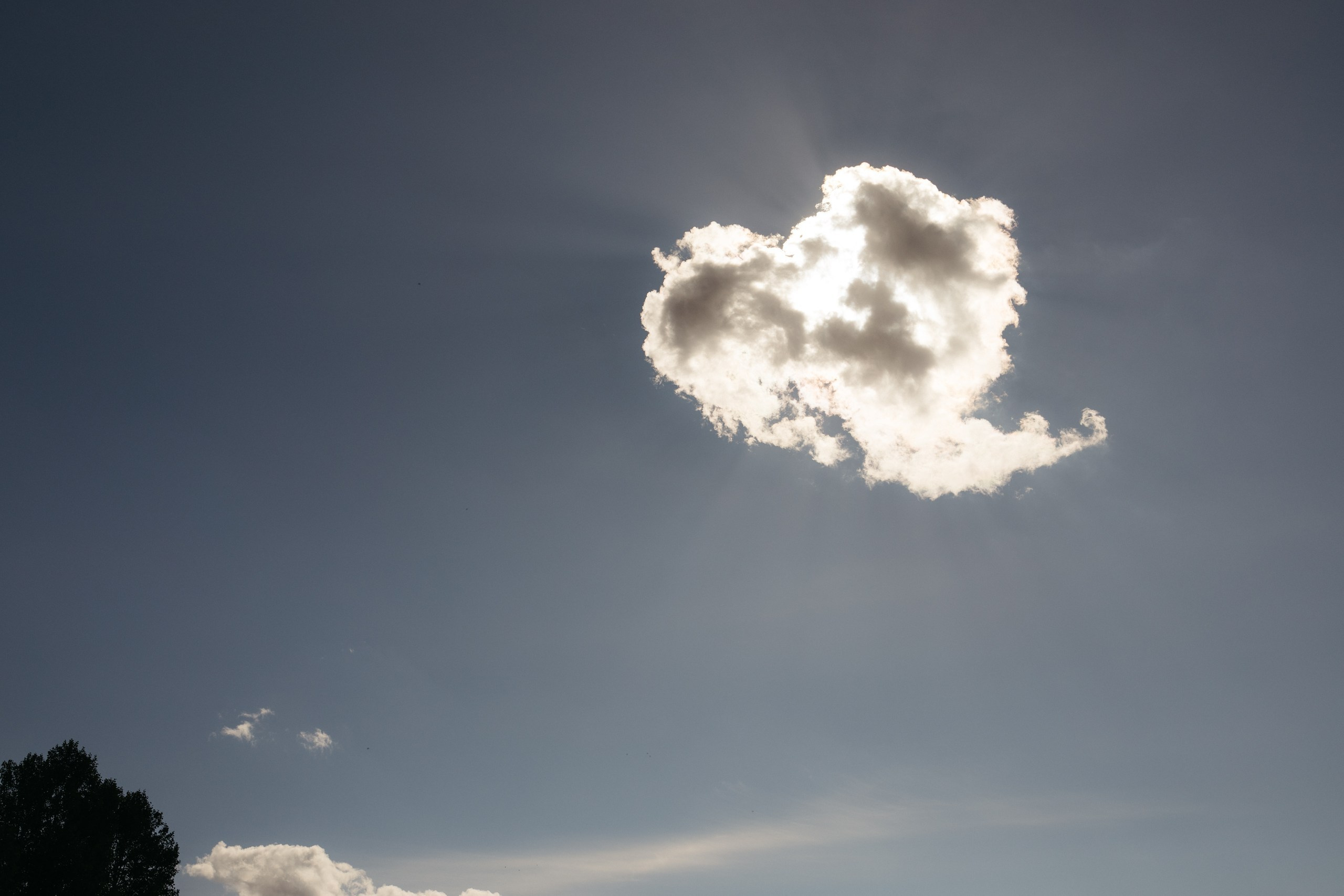 А&А. Свадебный фотограф Надежда Попова Архангельск, Санкт-Петербург