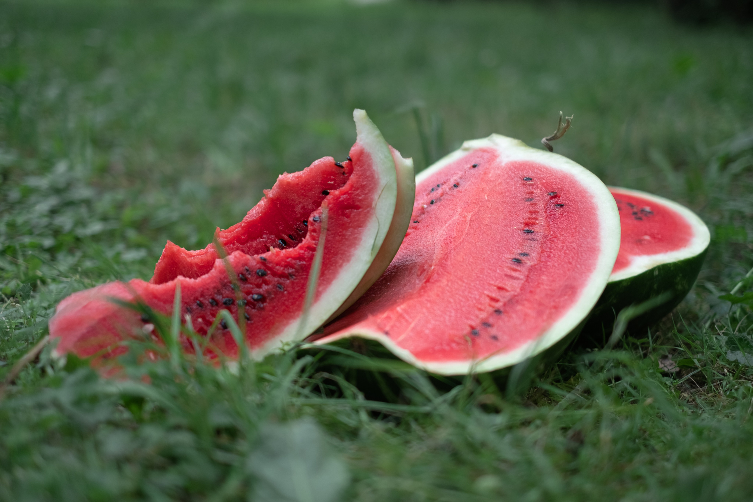 Сладкий арбузик. Семейный и детский фотограф в Мелитополе /Наталья Зацеркляная