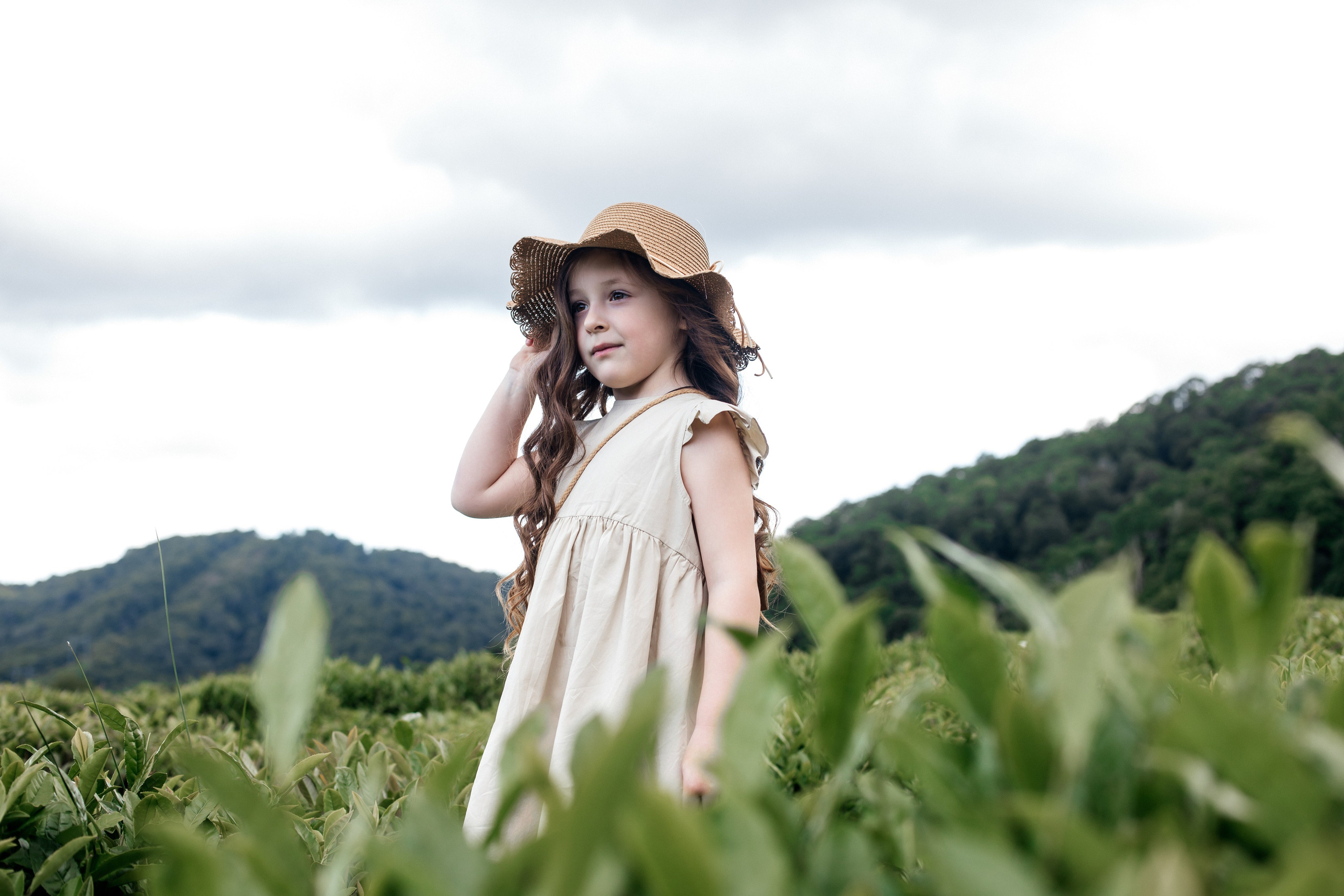 Tea plantation. Efimova Model Agency