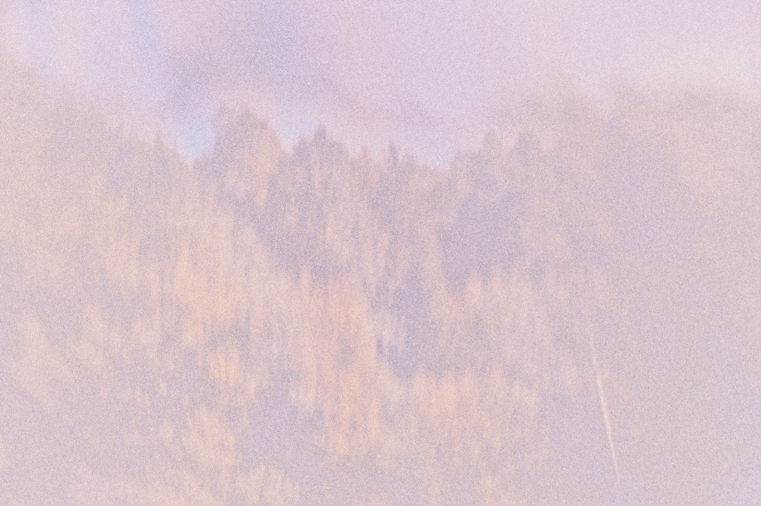 Negative Colors. Художественный фотограф в Москве Алексей Сутягин