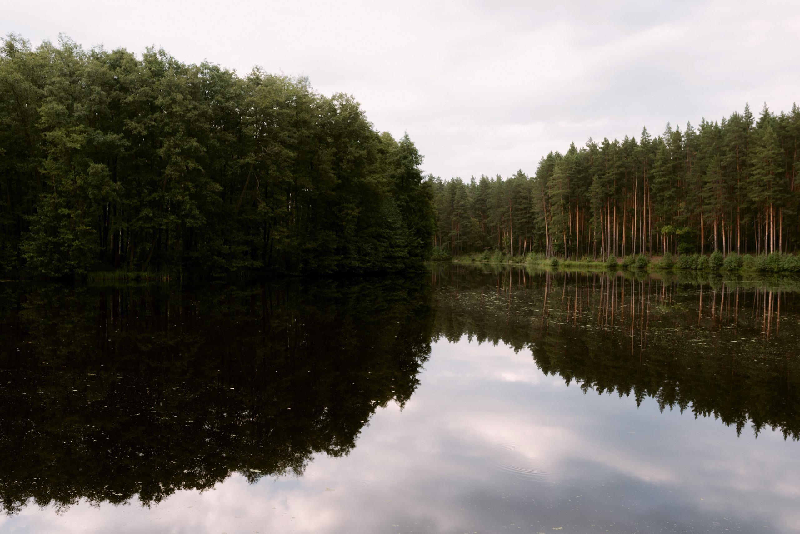 Настя + Дима. Свадебный фотограф в Тамбове Валерий Тихов