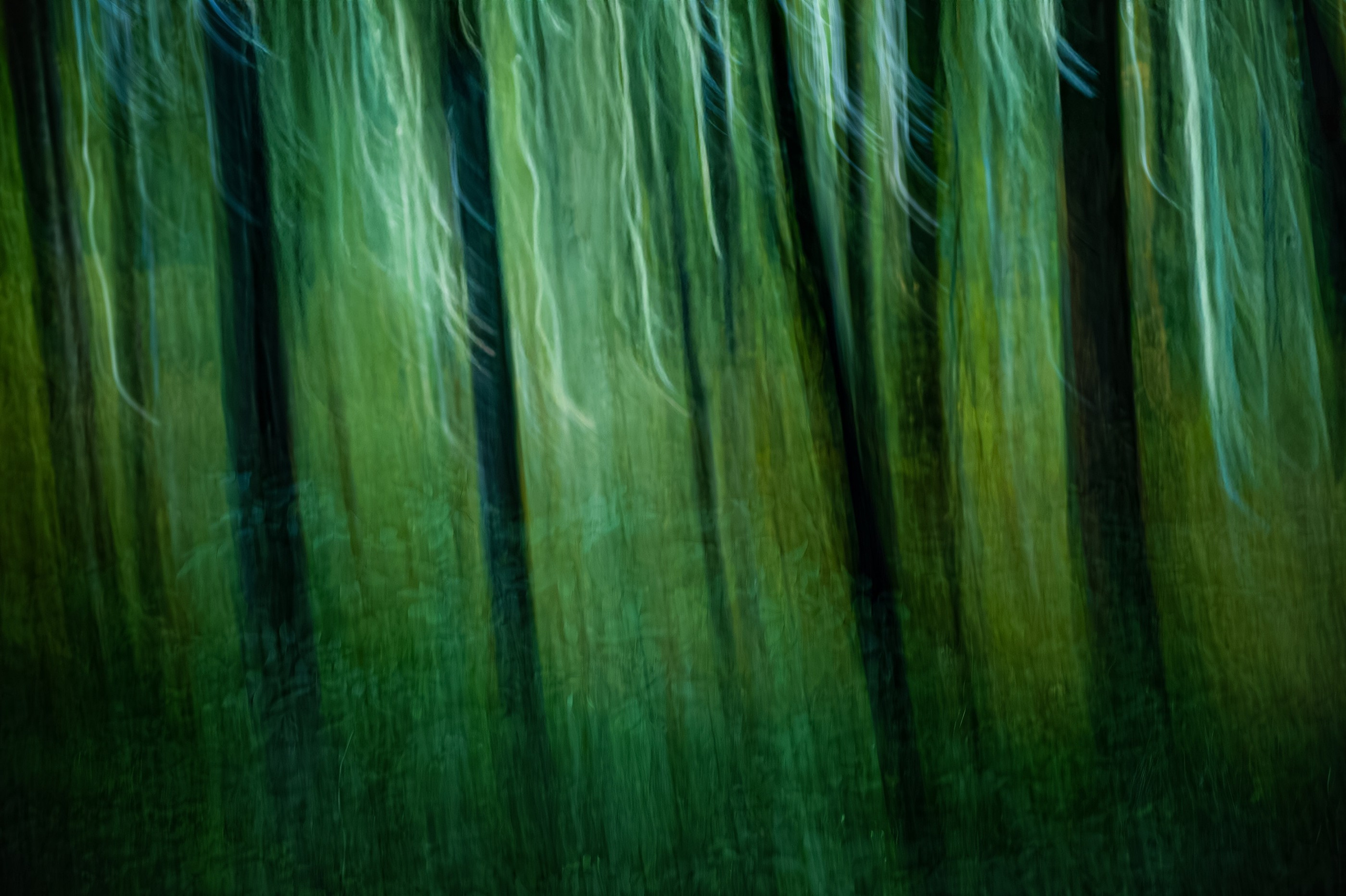 LUMEN DUO Art photography for interiors