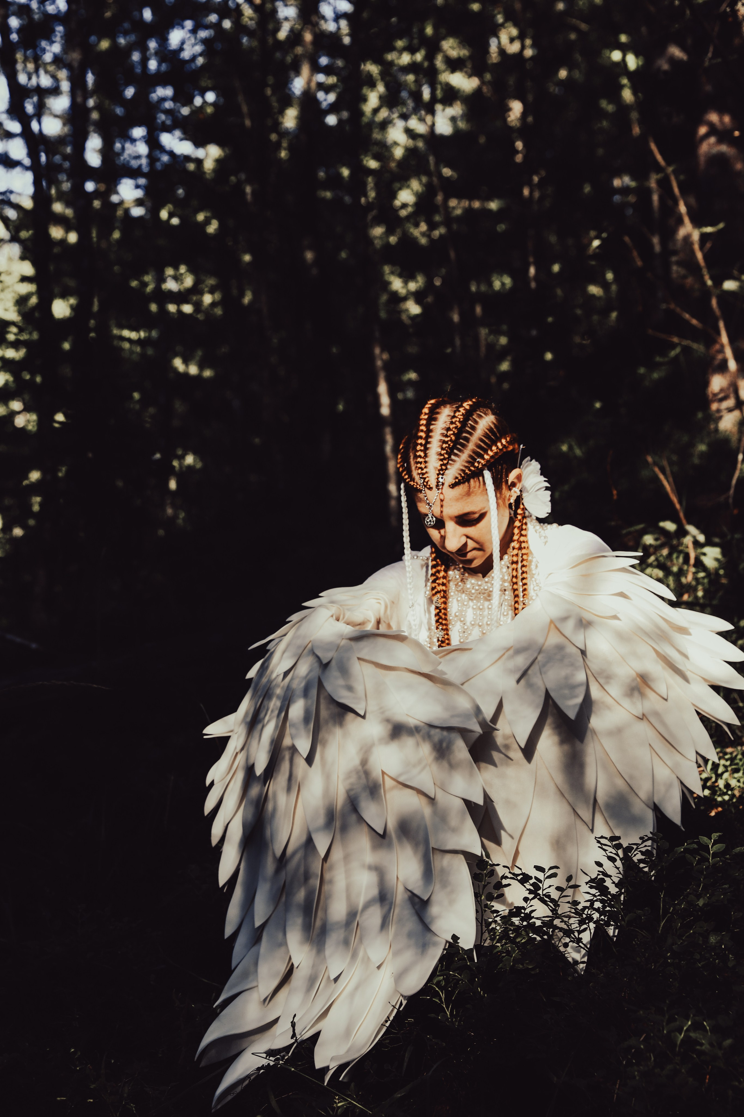 Фестиваль Жива