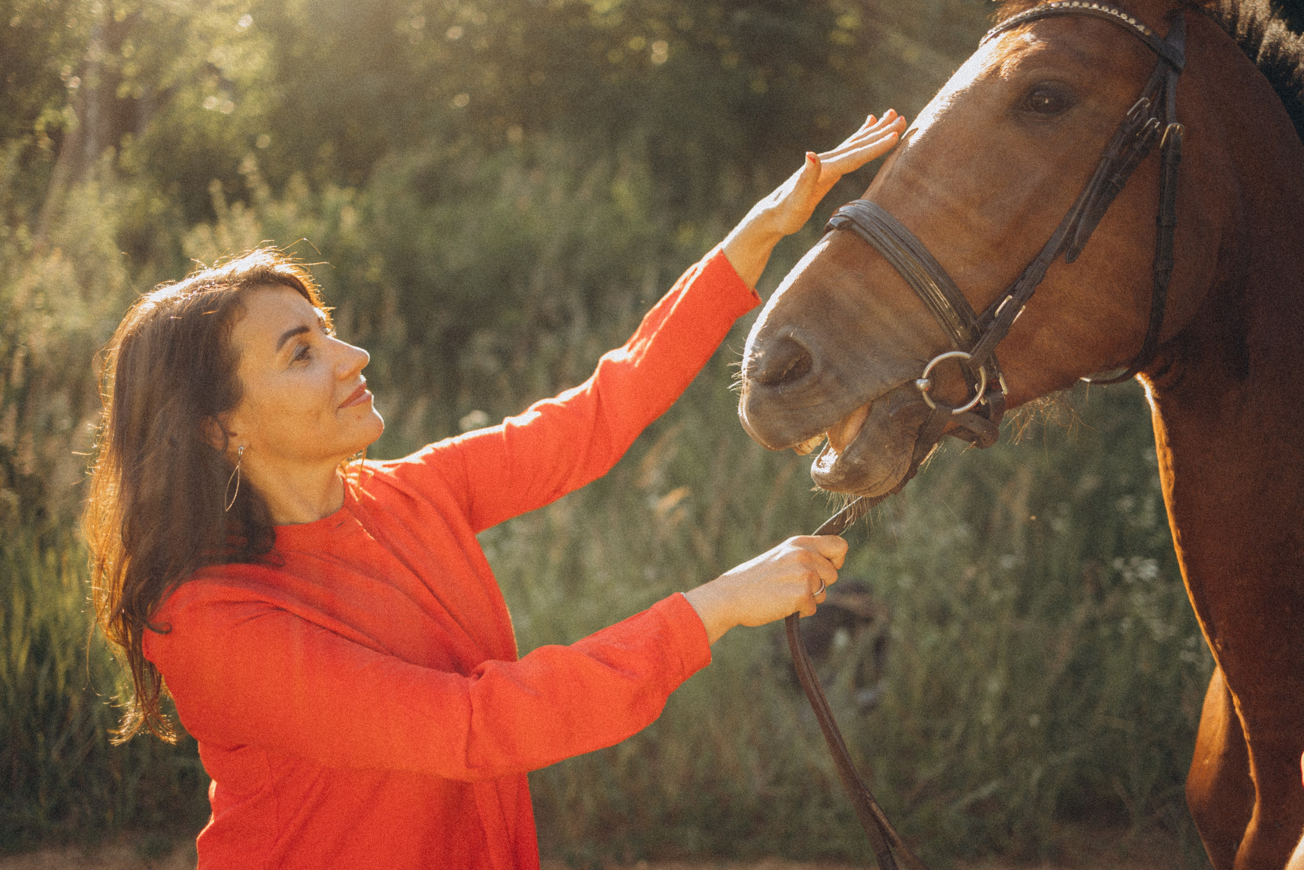 А в деревни лошади. Фотограф Москва Светлана Кирюшина