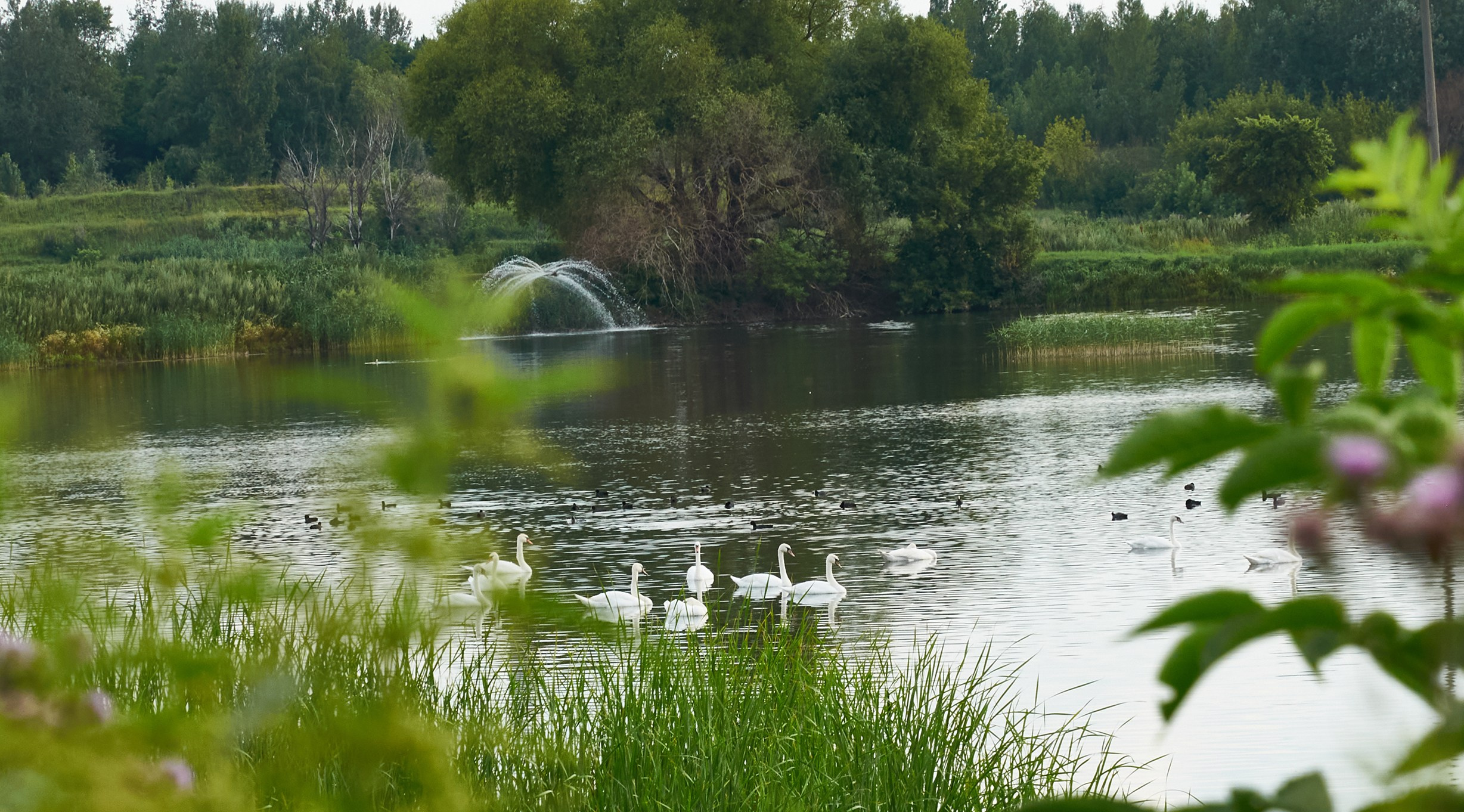 Искусство пейзажа: гармония природы в фотографиях. Координаты красоты — география в фокусе