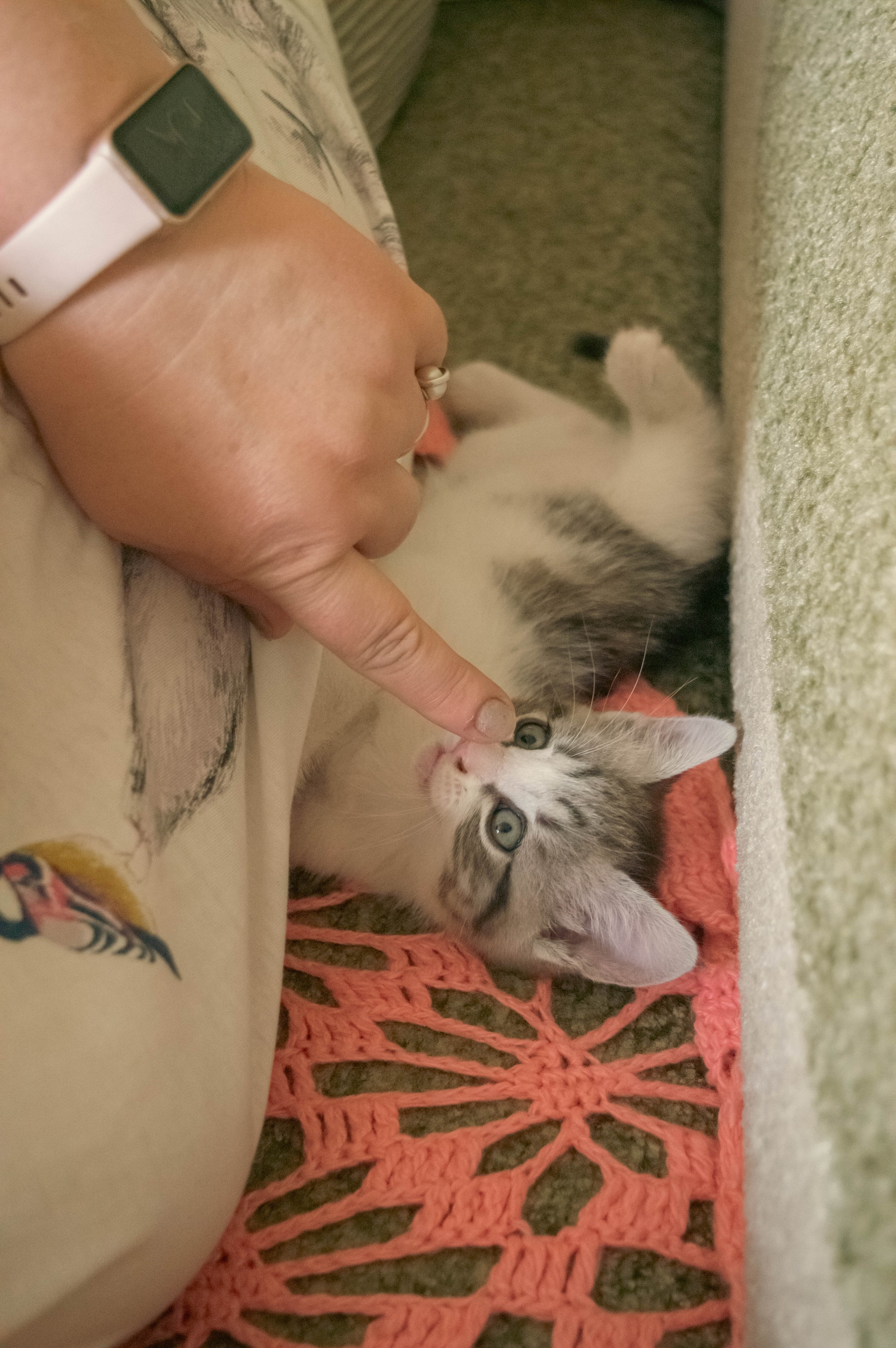Внутри. Фотограф Анастасия Лощакова в Москве