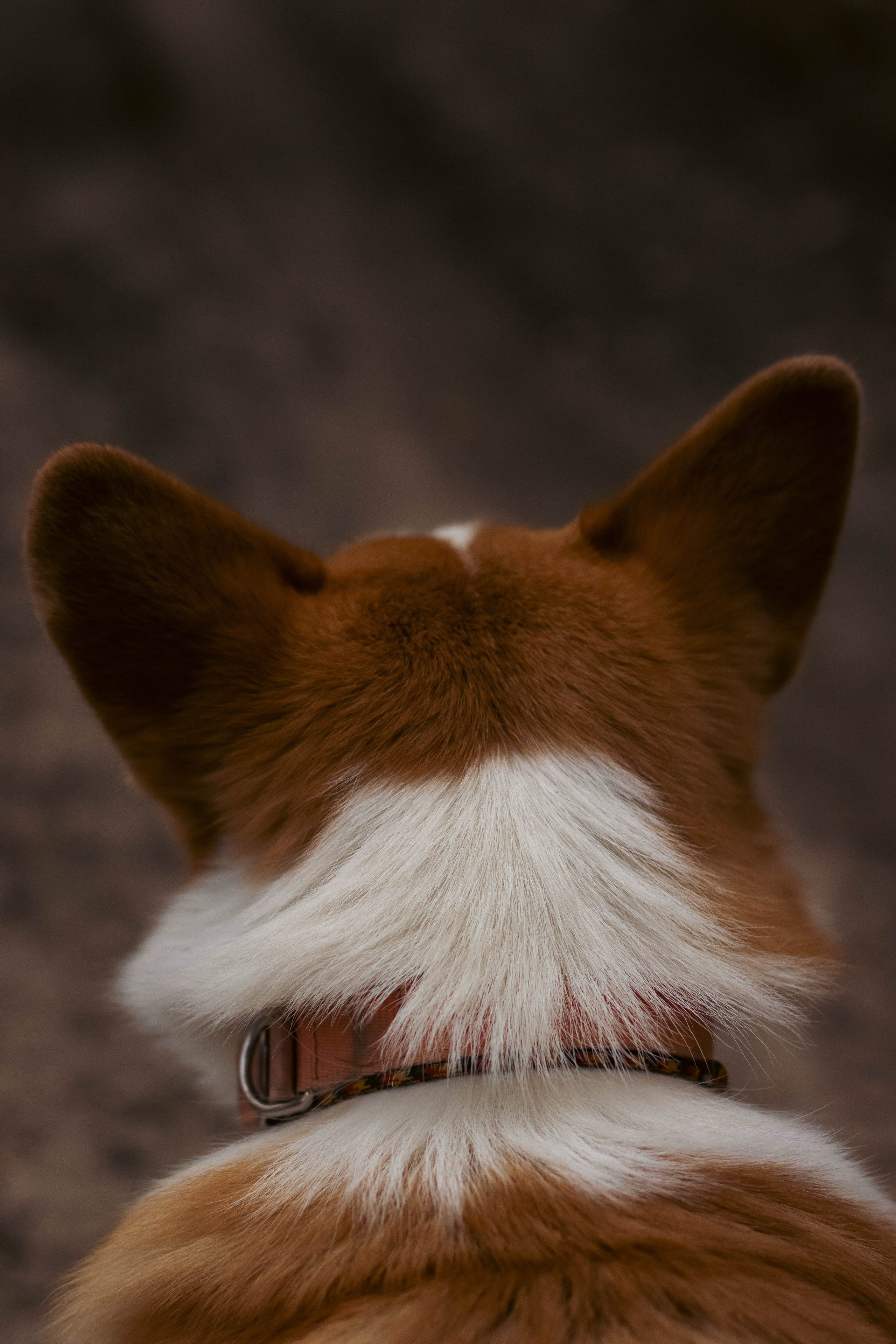 Деймик. Фотограф в Москве Ксюшенька