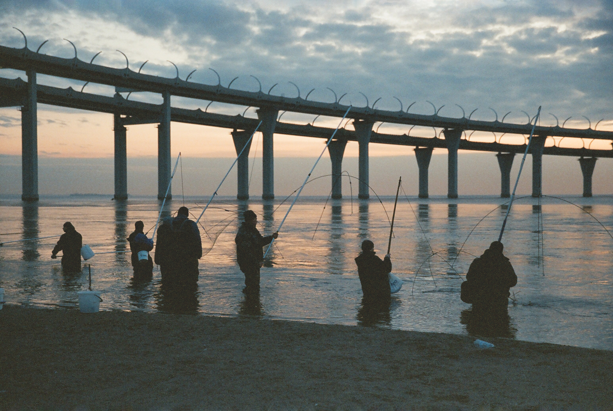 Фотографии цветные. Свадебный и семейный пленочный фотограф в Петербурге Истомина Ирина