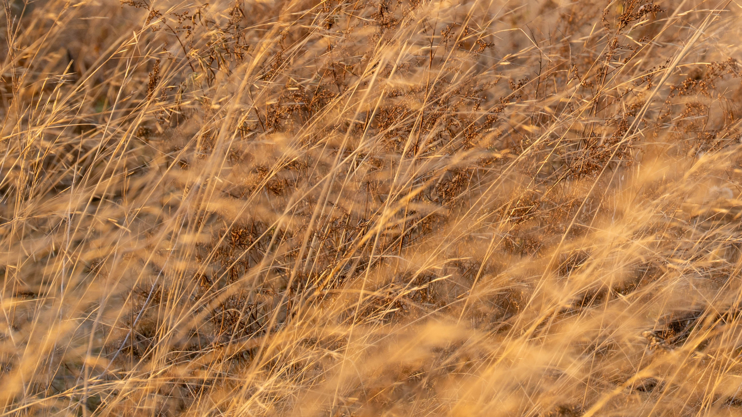 Курганская область. Daria wanderer photography