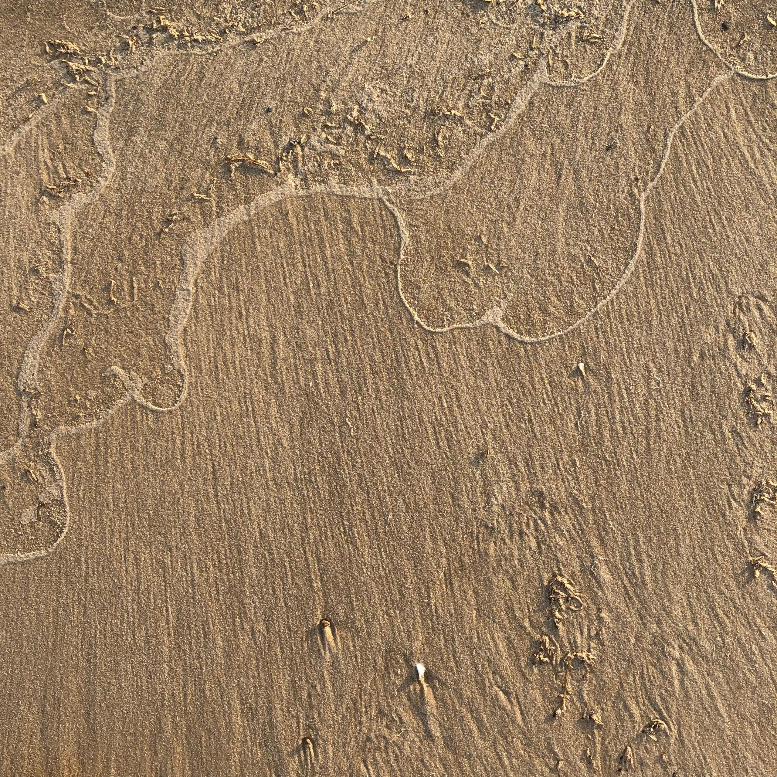 Визуальный дневник. Портретный фотограф в Москве Гахраманова Екатерина