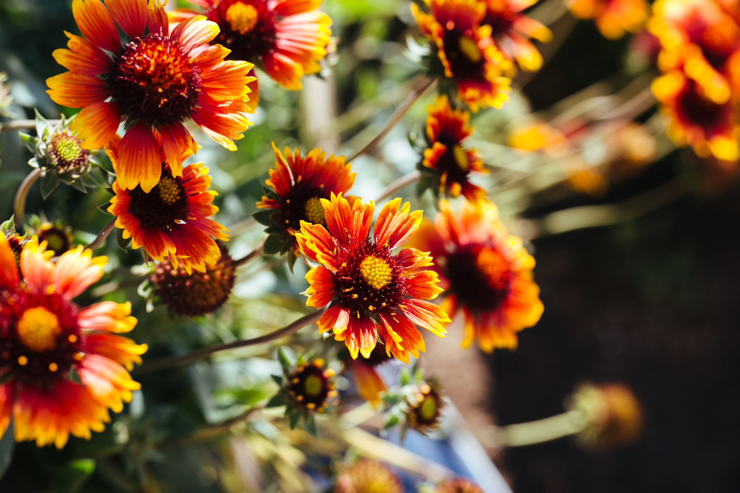 Фотостудия Анапа фотограф Анапа фотосессия Анапа. АНАПА ФОТОСТУДИЯ № 13