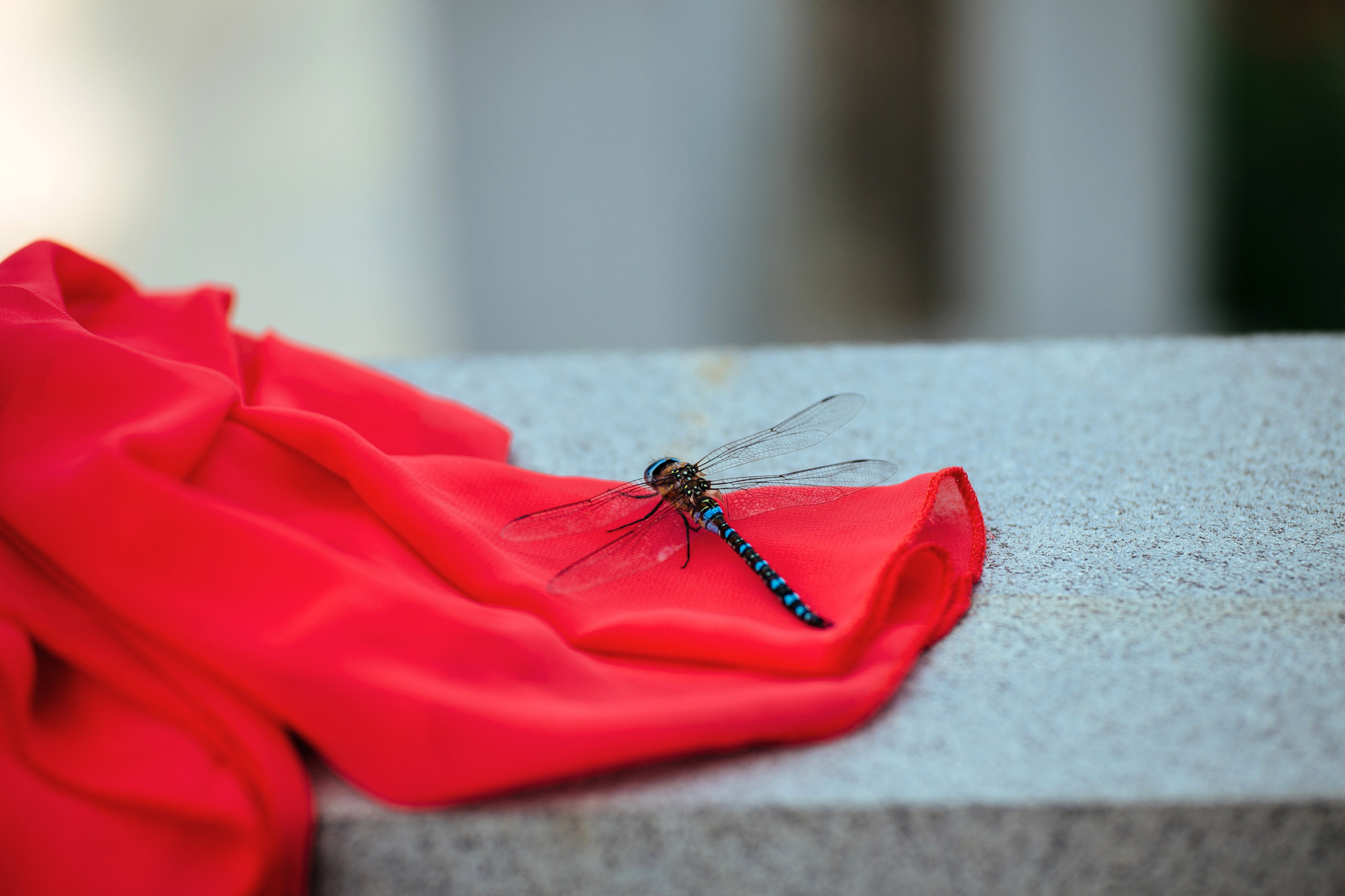 Фотостудия Анапа фотограф Анапа фотосессия Анапа. АНАПА ФОТОСТУДИЯ № 13