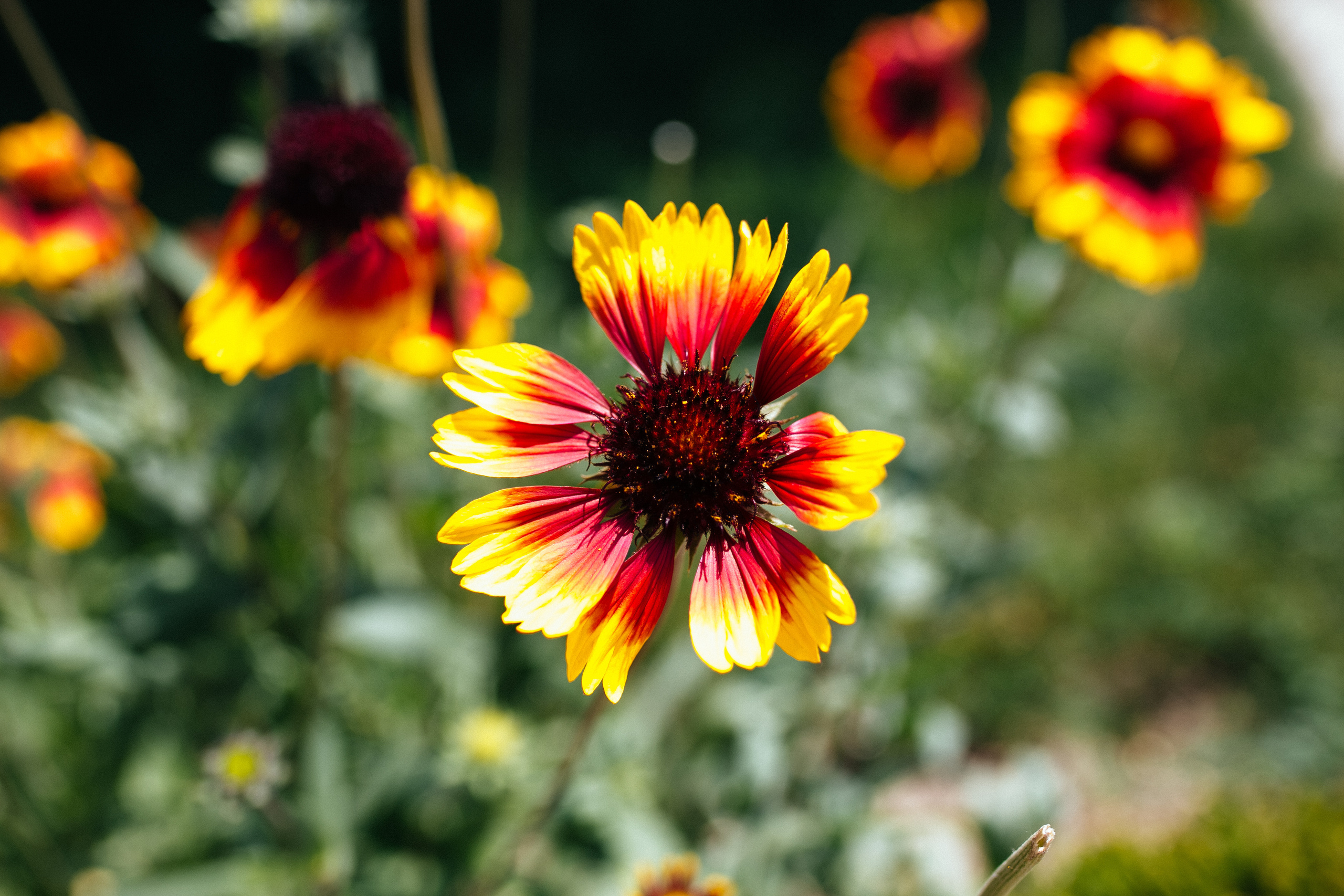 Фотостудия Анапа фотограф Анапа фотосессия Анапа. АНАПА ФОТОСТУДИЯ № 13